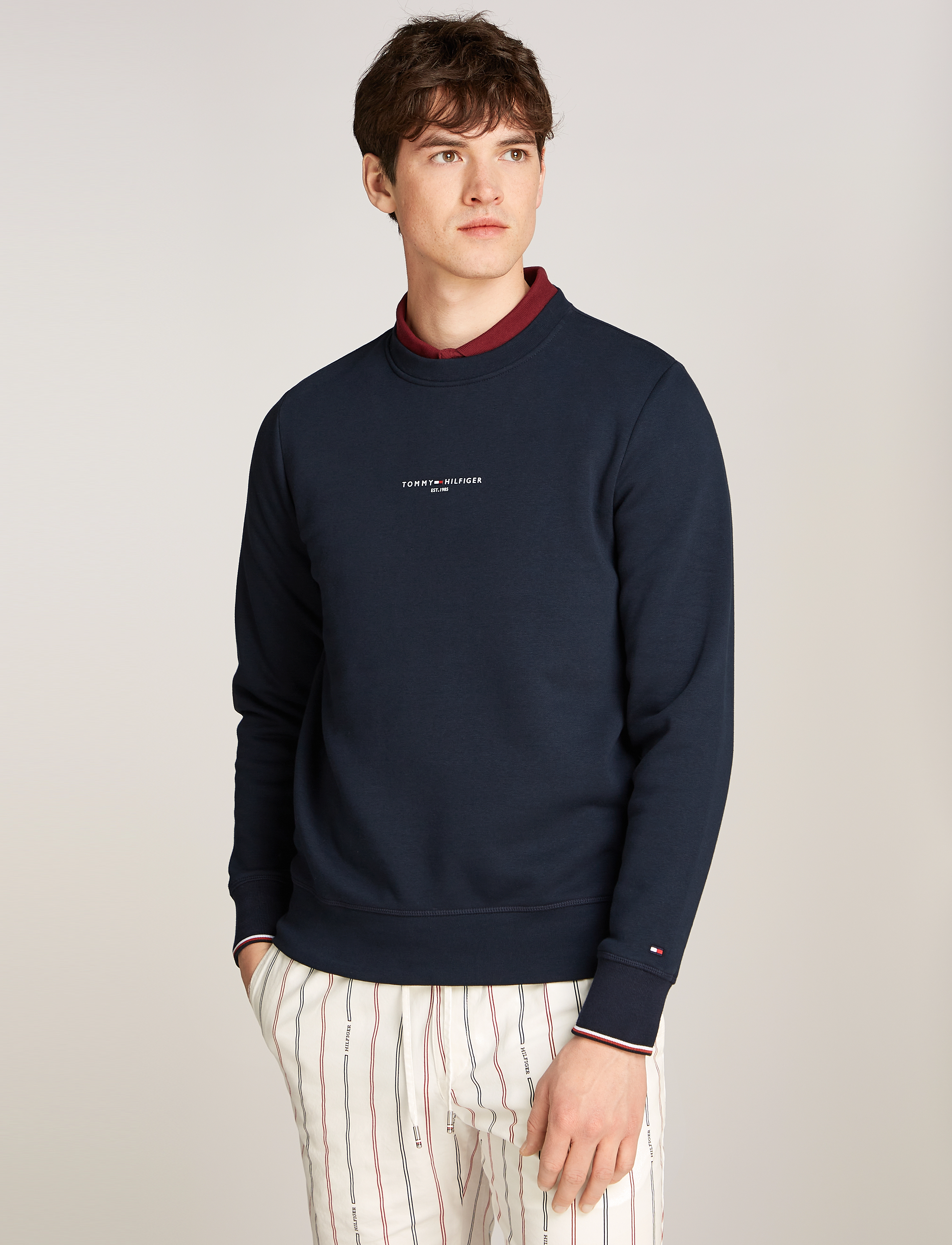 Tommy Hilfiger TOMMY LOGO TIPPED CREWNECK - Sweatshirts - DESERT SKY / navy