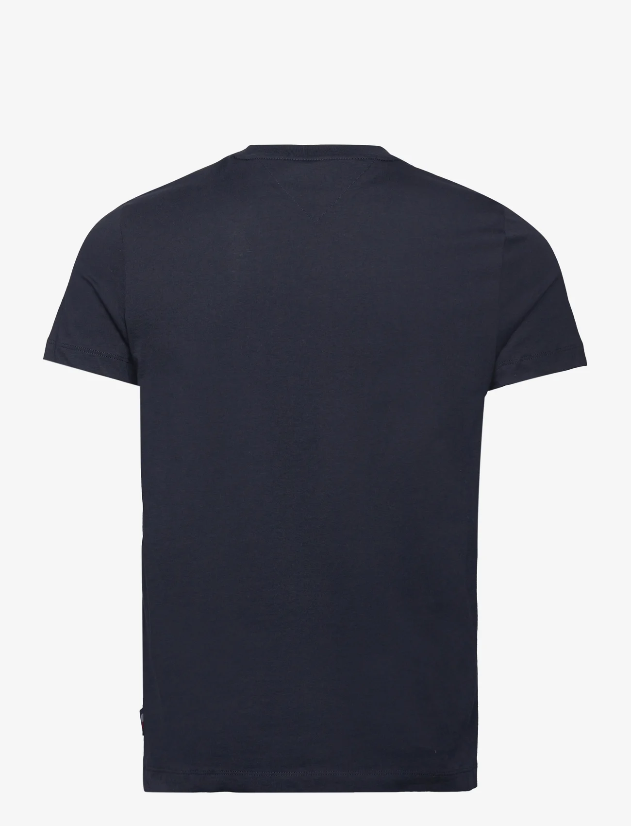 Tommy Hilfiger - ARCH VARSITY TEE - short-sleeved t-shirts - desert sky - 1