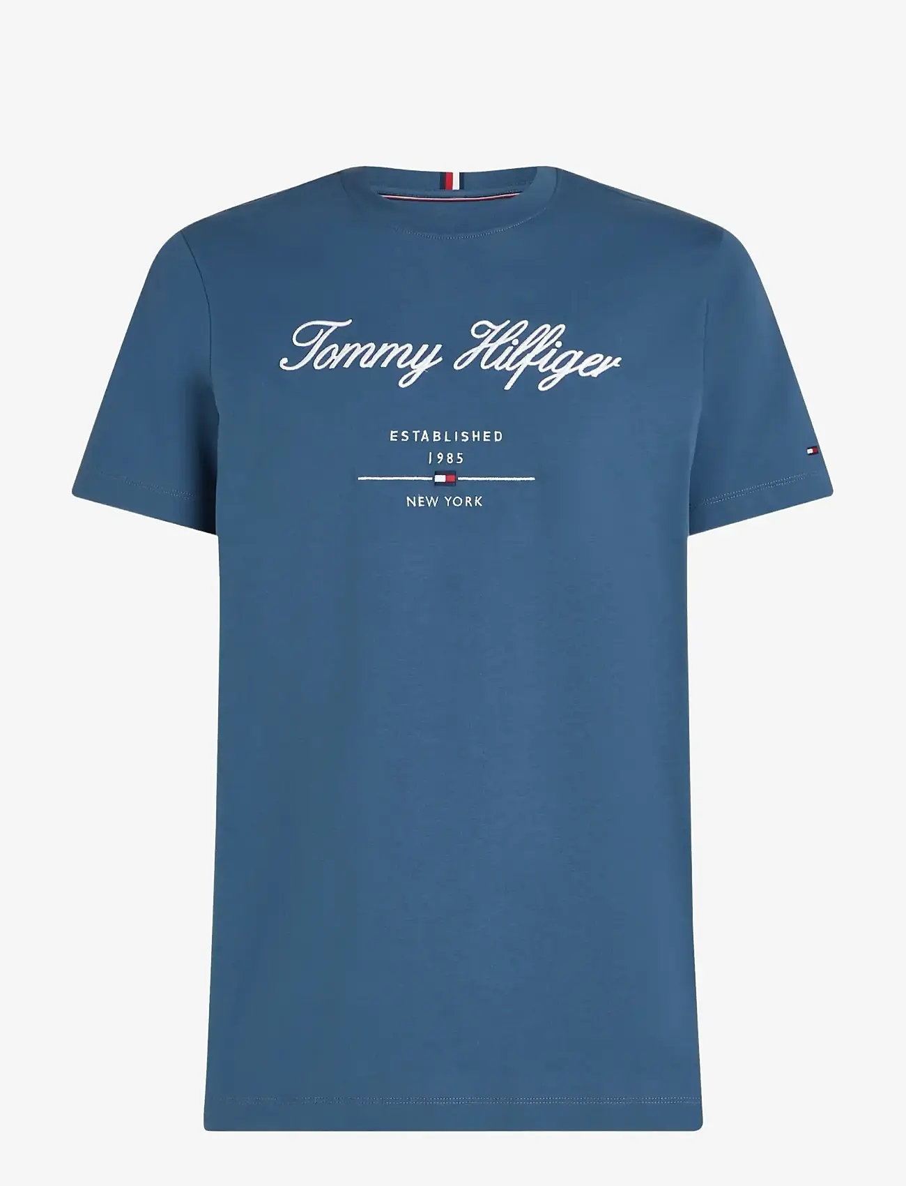 Tommy Hilfiger - SCRIPT LOGO TEE - kortærmede t-shirts - aegean sea - 1