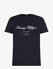 Tommy Hilfiger - SCRIPT LOGO TEE - marškinėliai trumpomis rankovėmis - desert sky - 0