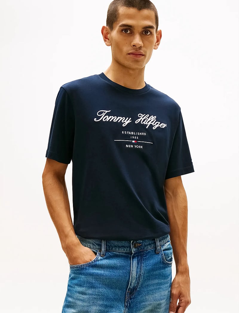 Tommy Hilfiger - SCRIPT LOGO TEE - short-sleeved t-shirts - desert sky - 0