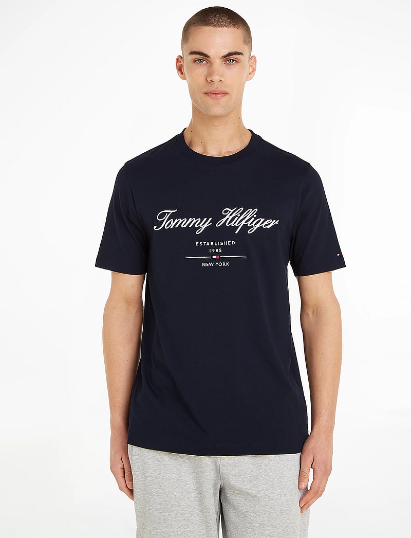 Tommy Hilfiger - SCRIPT LOGO TEE - kortärmade t-shirts - desert sky - 0