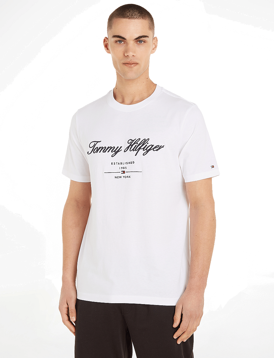Tommy Hilfiger - SCRIPT LOGO TEE - kortærmede t-shirts - white - 0