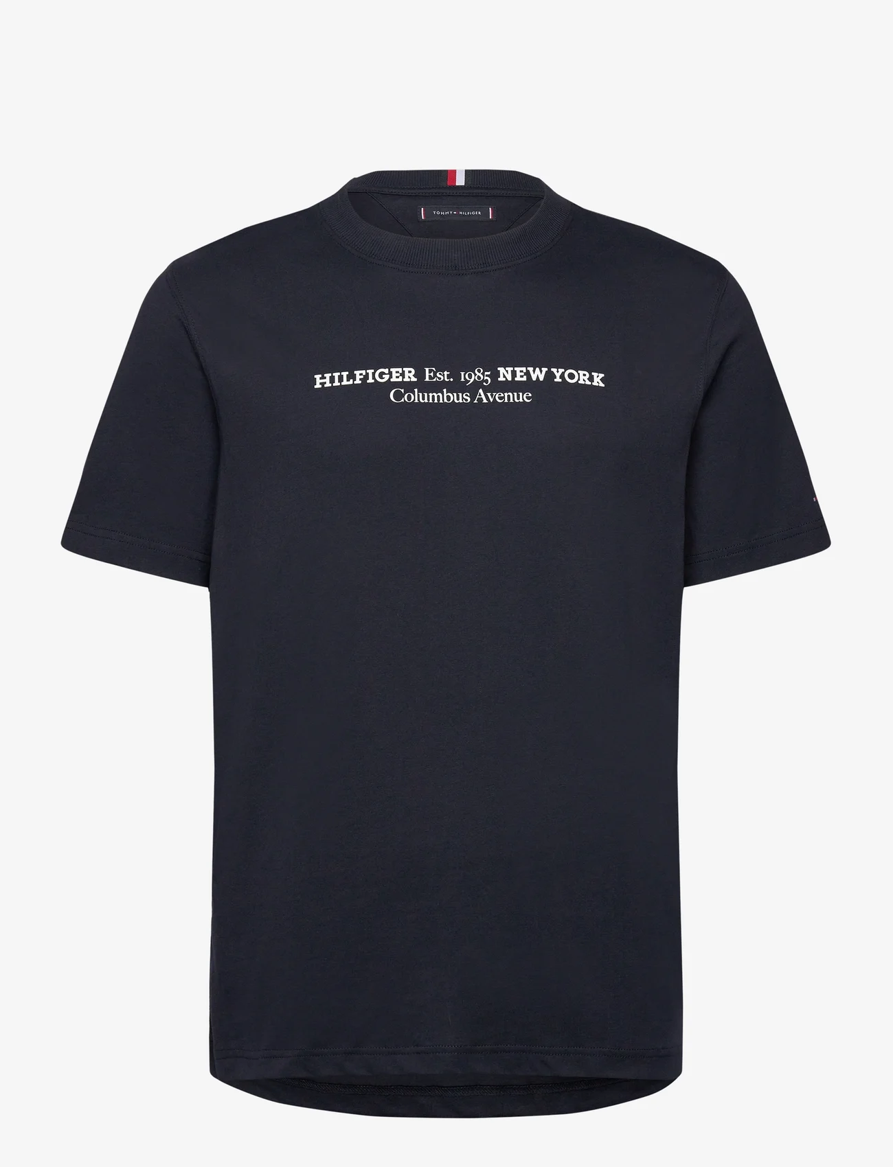 Tommy Hilfiger - HILFIGER NEW YORK TEE - short-sleeved t-shirts - desert sky - 0