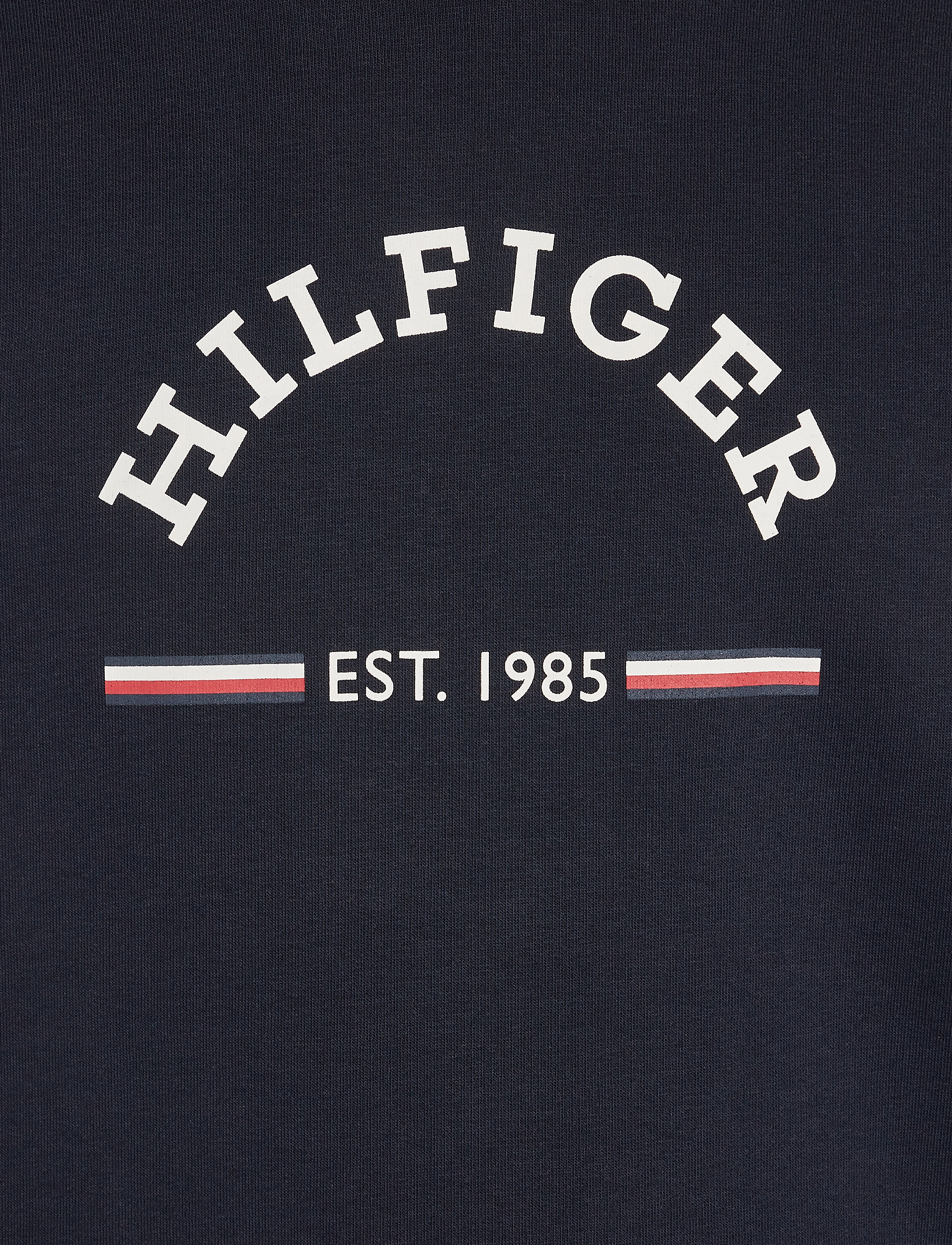 Tommy Hilfiger - ROUNDALL HOODY - desert sky - 3