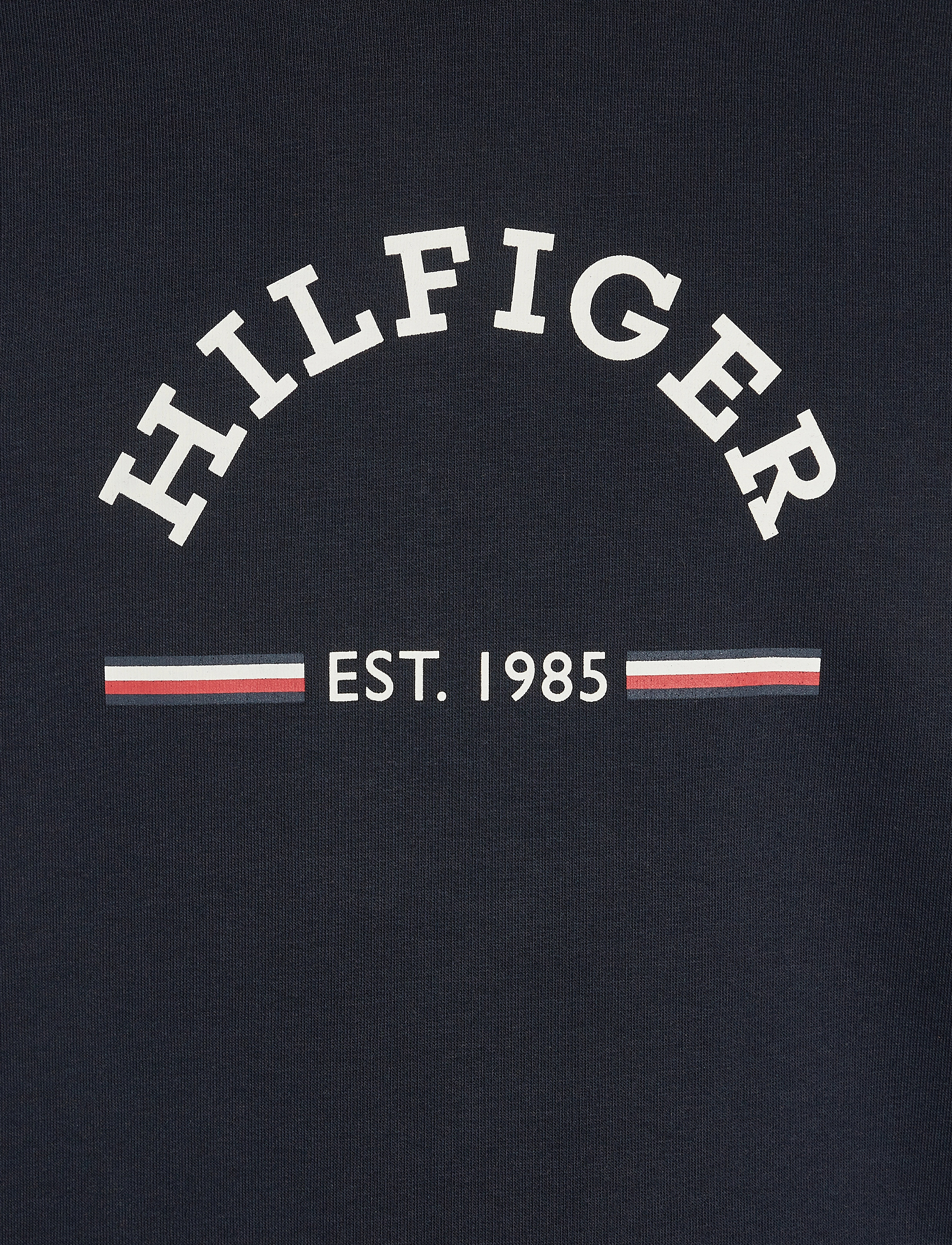 Tommy Hilfiger - ROUNDALL HOODY - desert sky - 4
