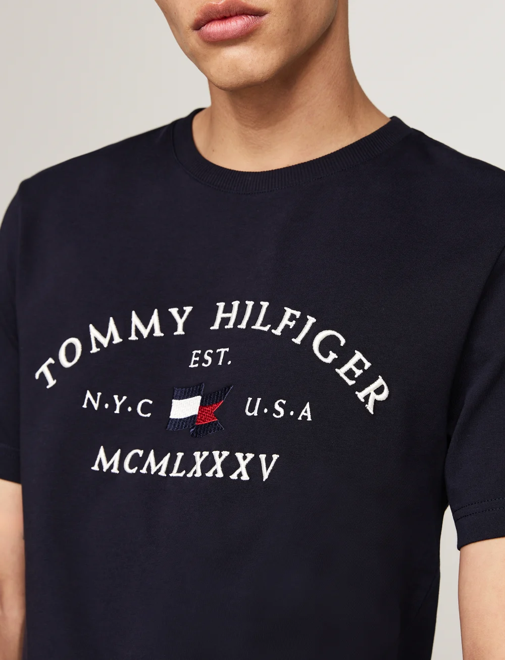 Tommy Hilfiger - NAUTICAL ARCH TEE - kurzärmelig - desert sky - 2