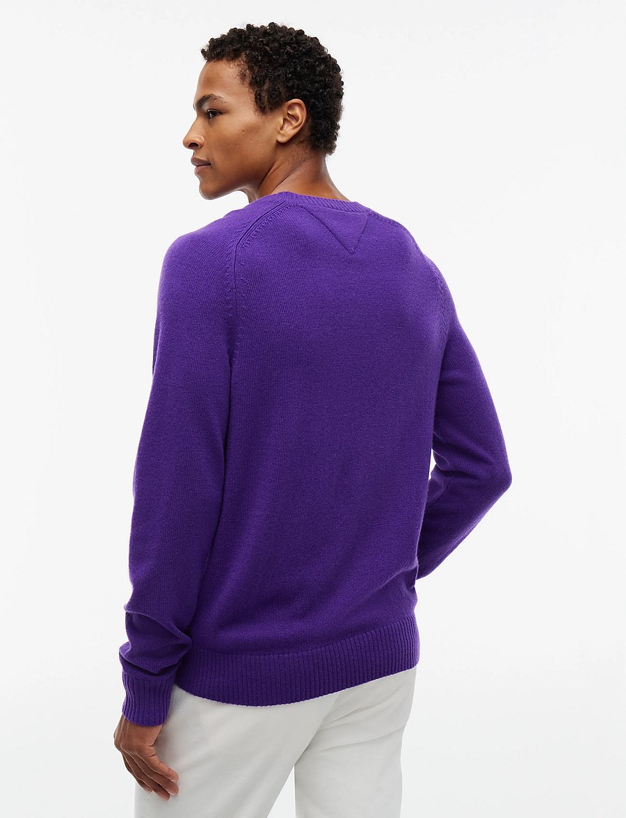 Tommy Hilfiger - LAMBSWOOL CREW NECK - rundhals - tuscan grape - 2