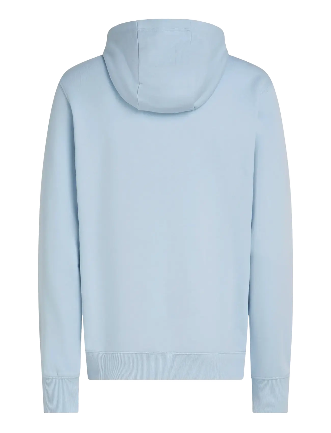 Tommy Hilfiger - ESSENTIAL TERRY HOODY - kapuutsiga dressipluusid - breezy blue - 2