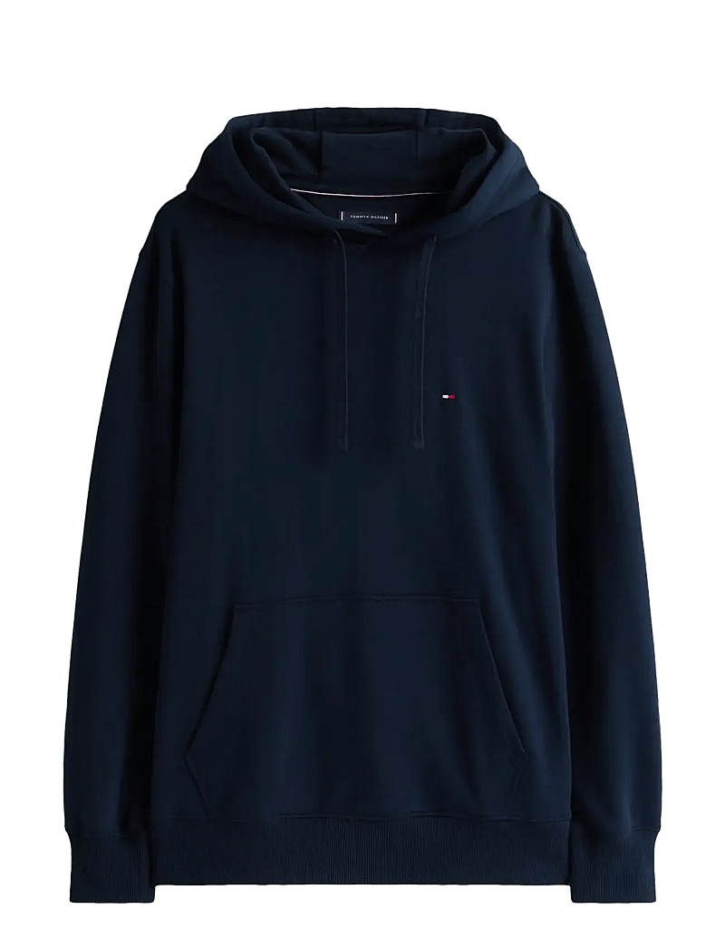 Tommy Hilfiger - ESSENTIAL TERRY HOODY - kapuutsiga dressipluusid - desert sky - 1