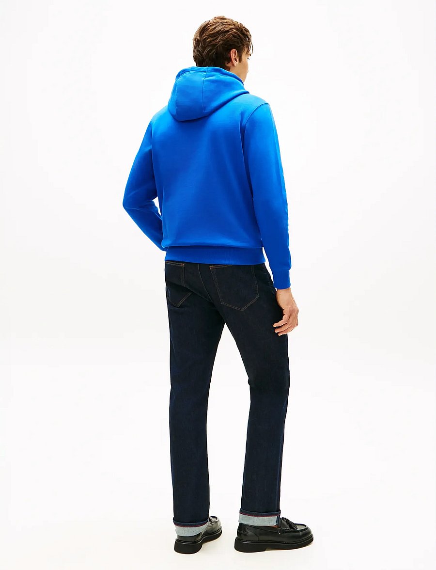 Tommy Hilfiger - ESSENTIAL TERRY HOODY - kapuutsiga pusad - regal blue - 2