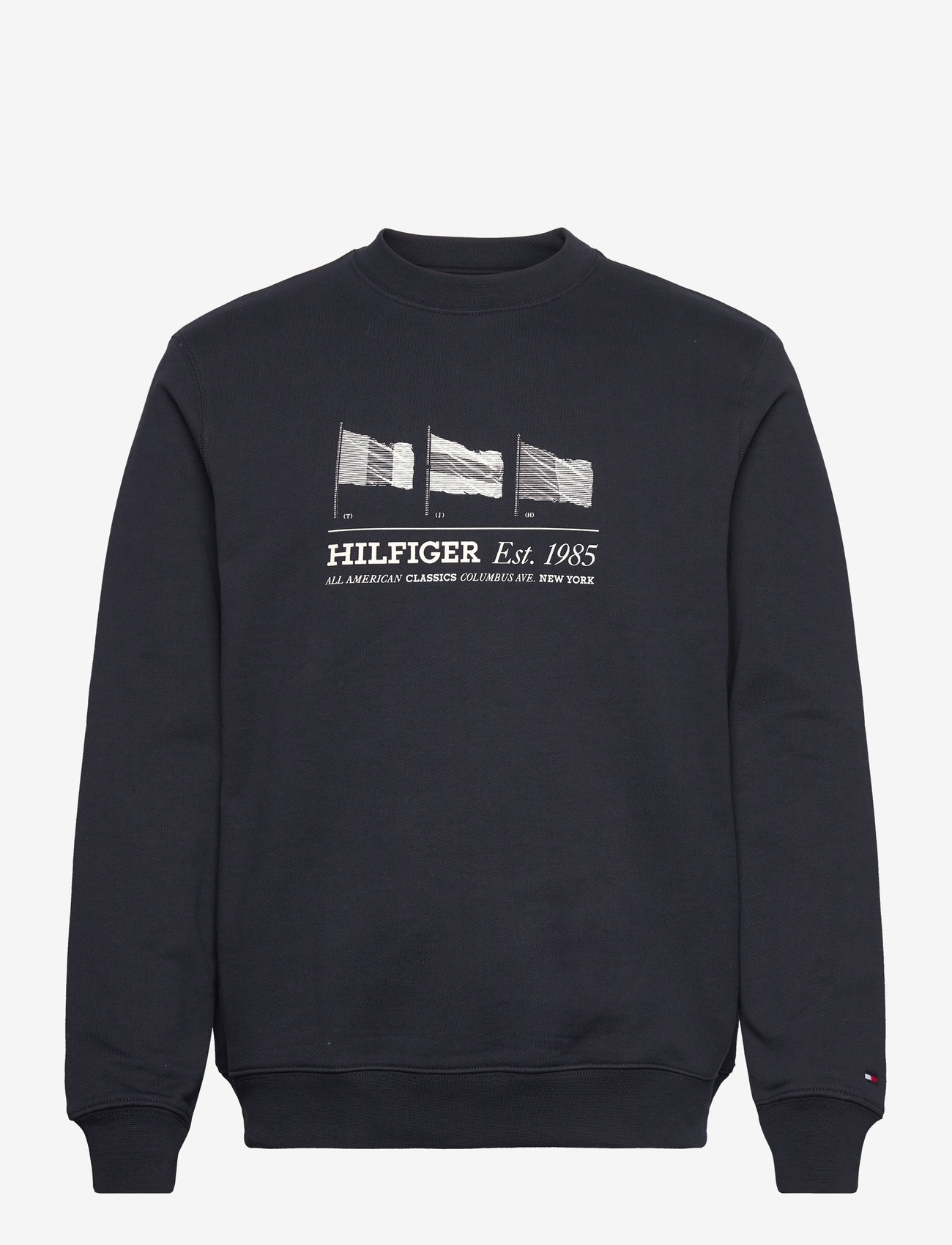 Tommy Hilfiger - HILFIGER FLAGS CREWNECK - sweatshirts - desert sky - 0