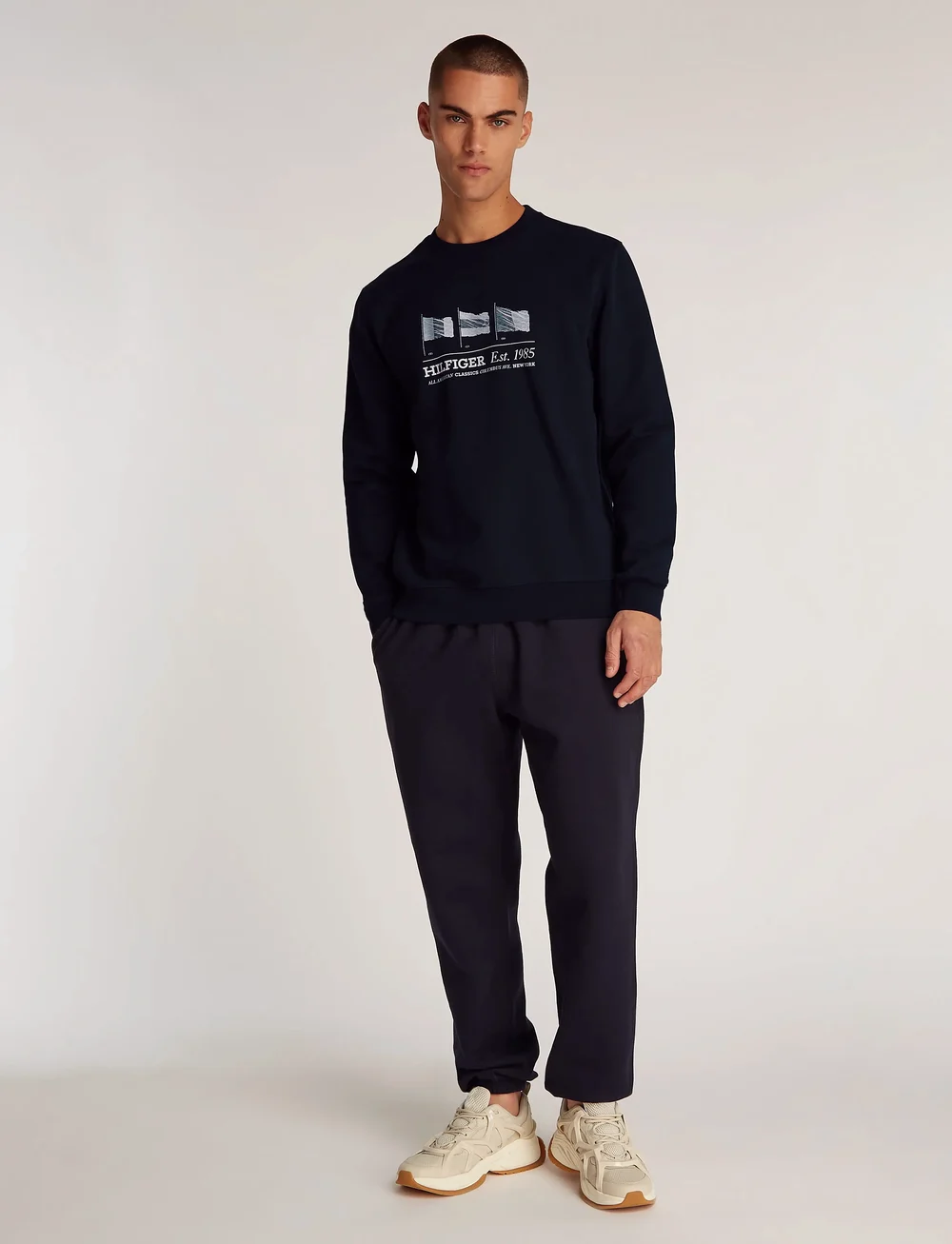 Tommy Hilfiger - HILFIGER FLAGS CREWNECK - shoppa efter tillfälle - desert sky - 0