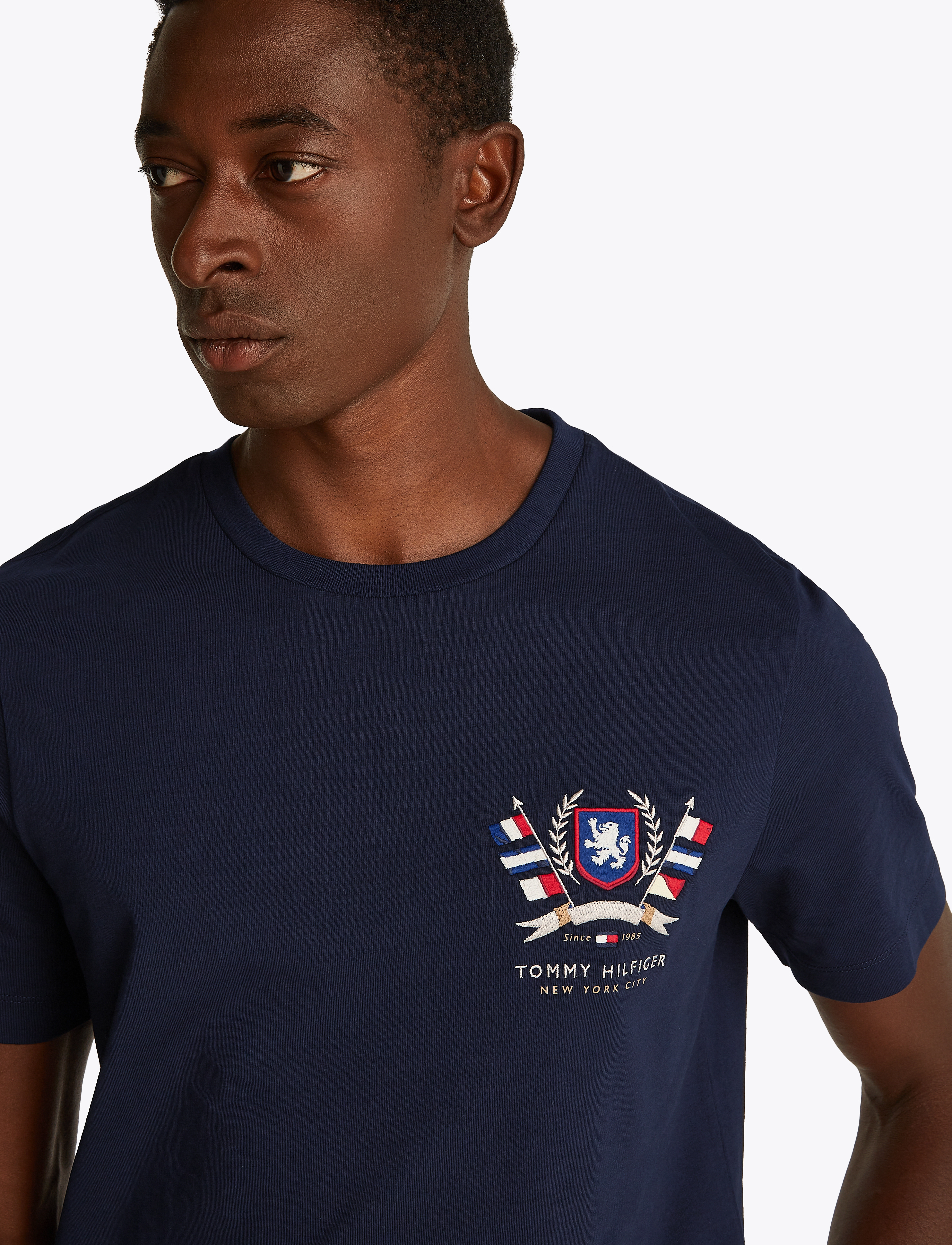 Tommy Hilfiger - HILFIGER COLOUR CREST TEE - basic t-shirts - desert sky - 4