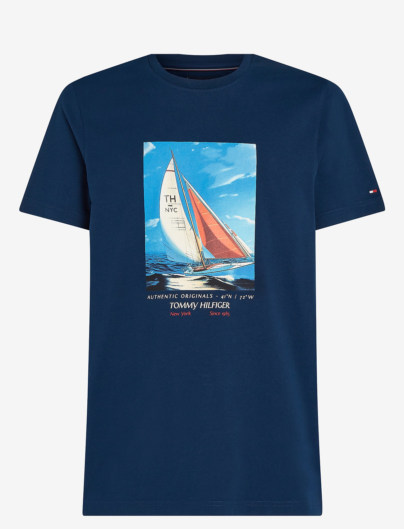 Tommy Hilfiger - HILFIGER COLOR PHOTO PRINT TEE - autumn clothing - night sky - 0