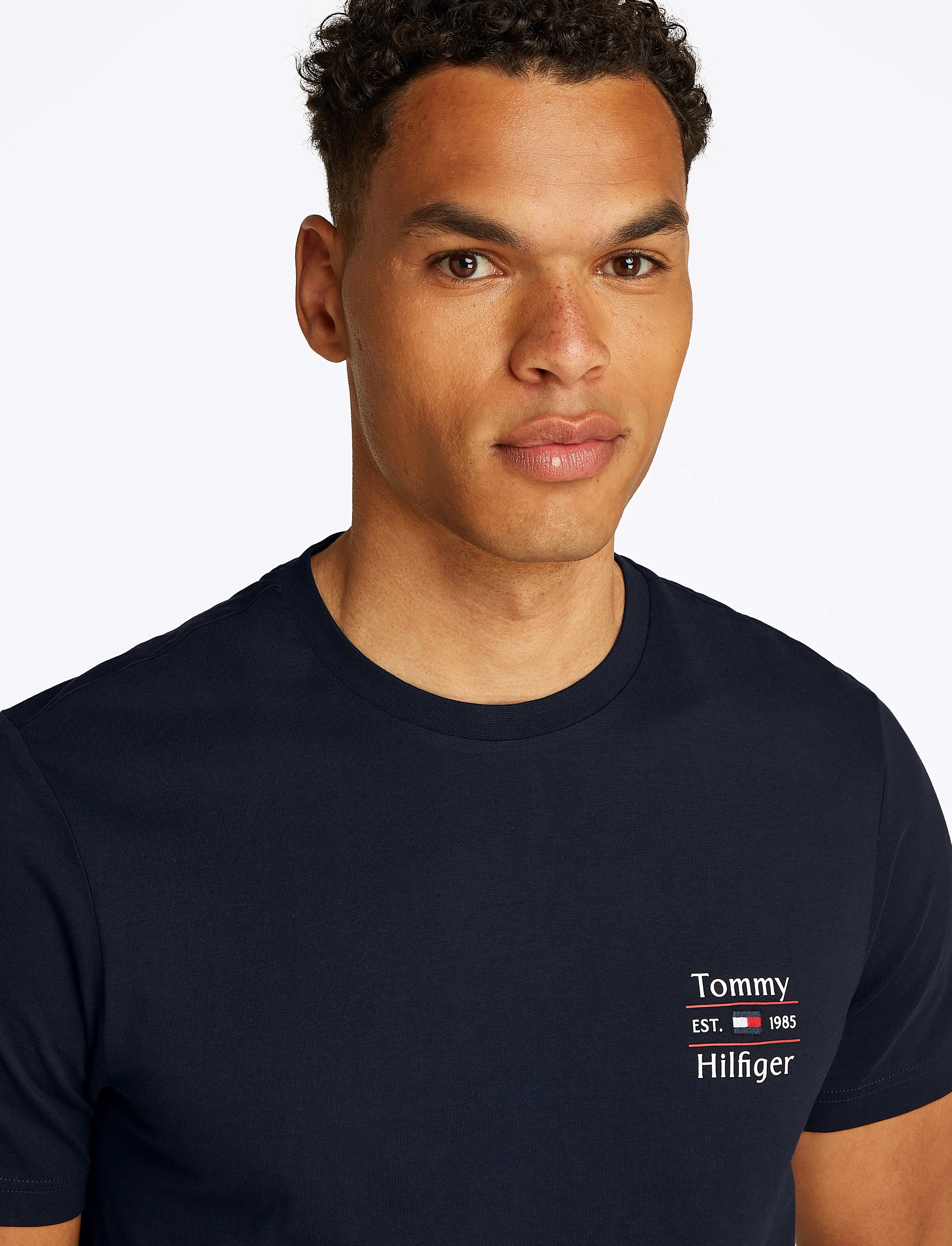 Tommy Hilfiger - HILFIGER STACK TEE - short-sleeved t-shirts - desert sky - 3