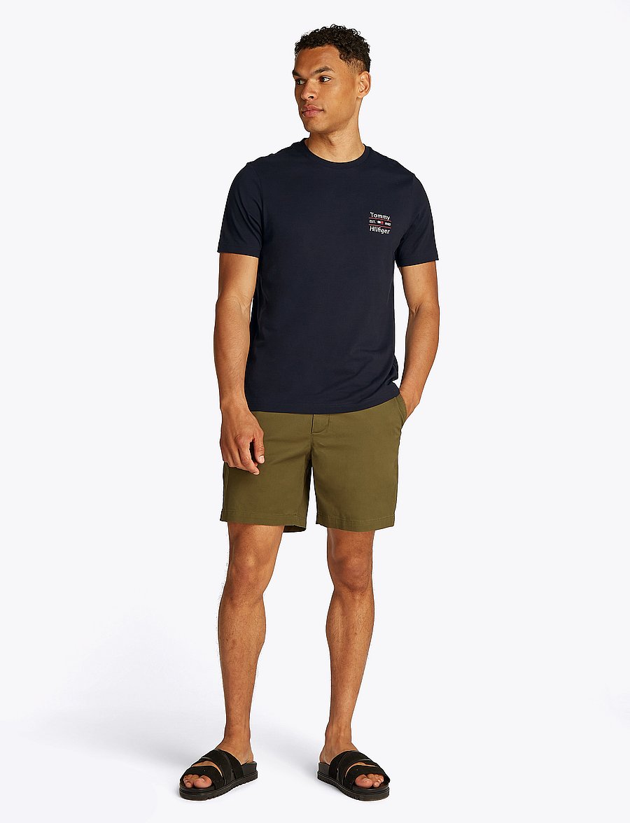 Tommy Hilfiger - HILFIGER STACK TEE - kortärmade t-shirts - desert sky - 4