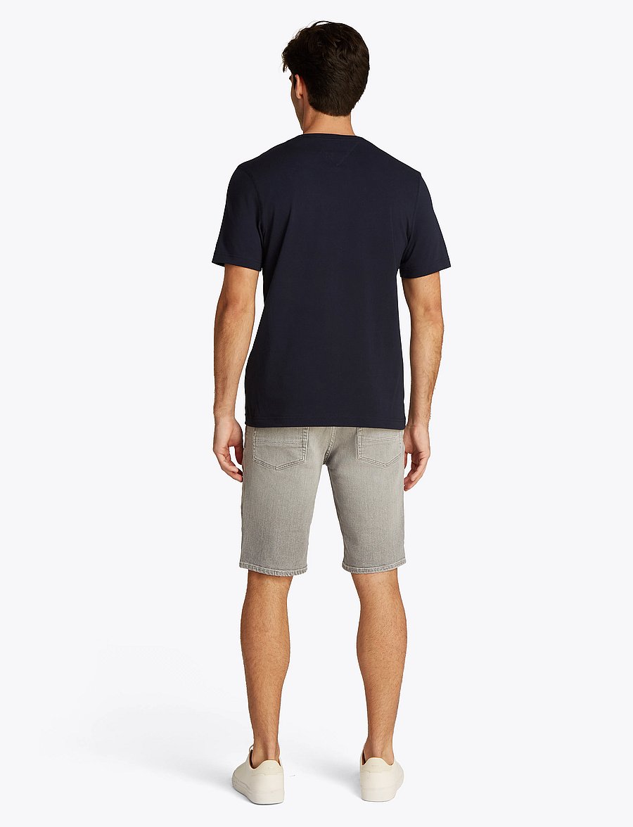 Tommy Hilfiger - HILFIGER SUMMER SCRIPT TEE - kurzärmelig - desert sky - 1
