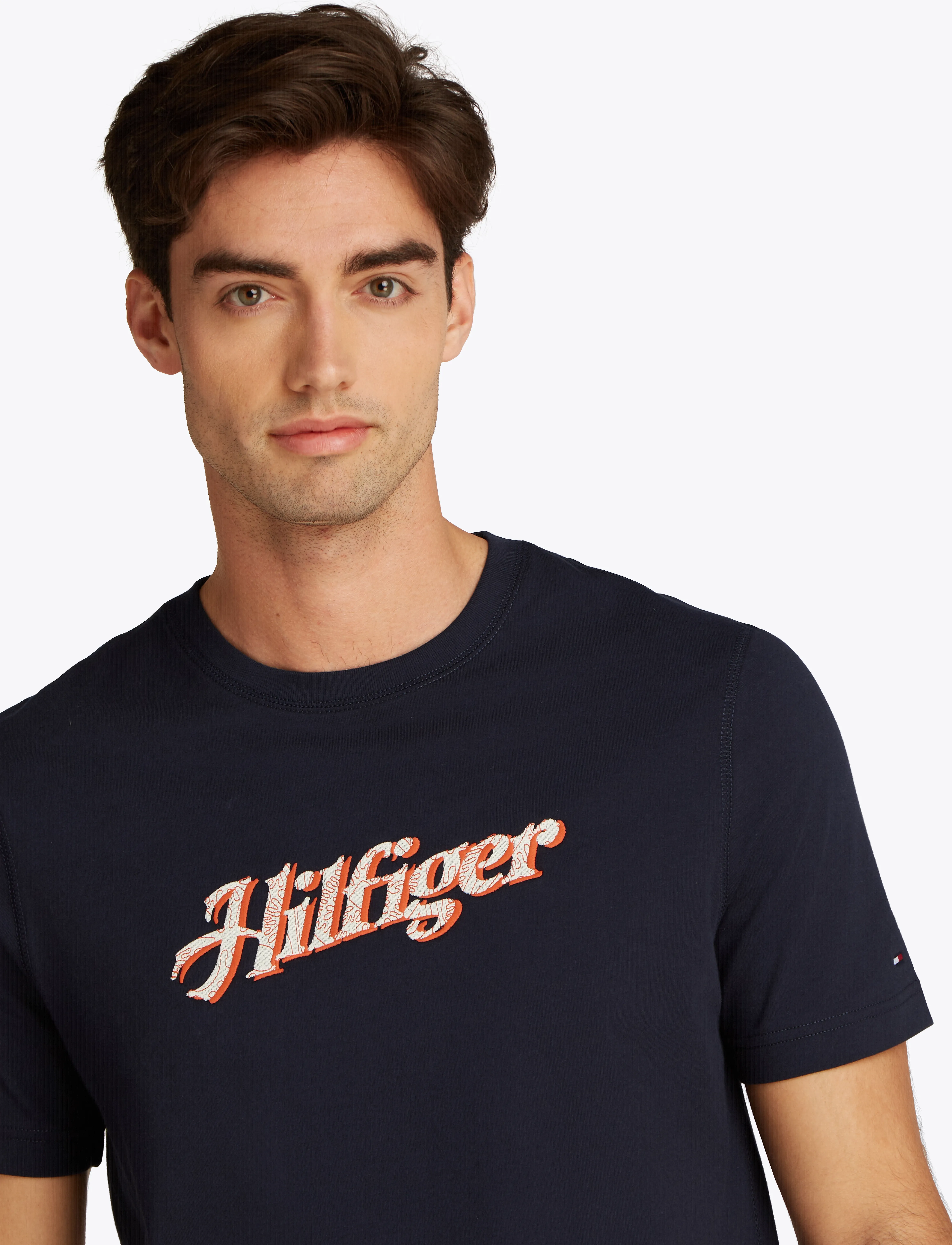 Tommy Hilfiger - HILFIGER SUMMER SCRIPT TEE - kortärmade t-shirts - desert sky - 2