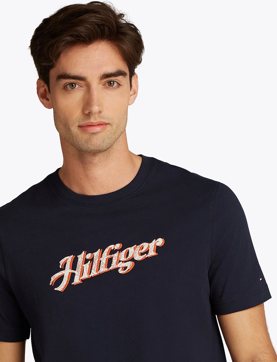 Tommy Hilfiger - HILFIGER SUMMER SCRIPT TEE - kurzärmelig - desert sky - 2
