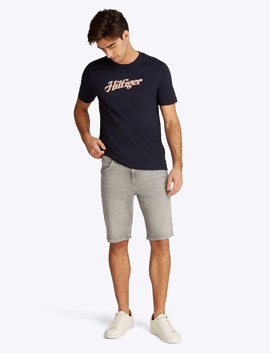 Tommy Hilfiger - HILFIGER SUMMER SCRIPT TEE - kurzärmelig - desert sky - 3