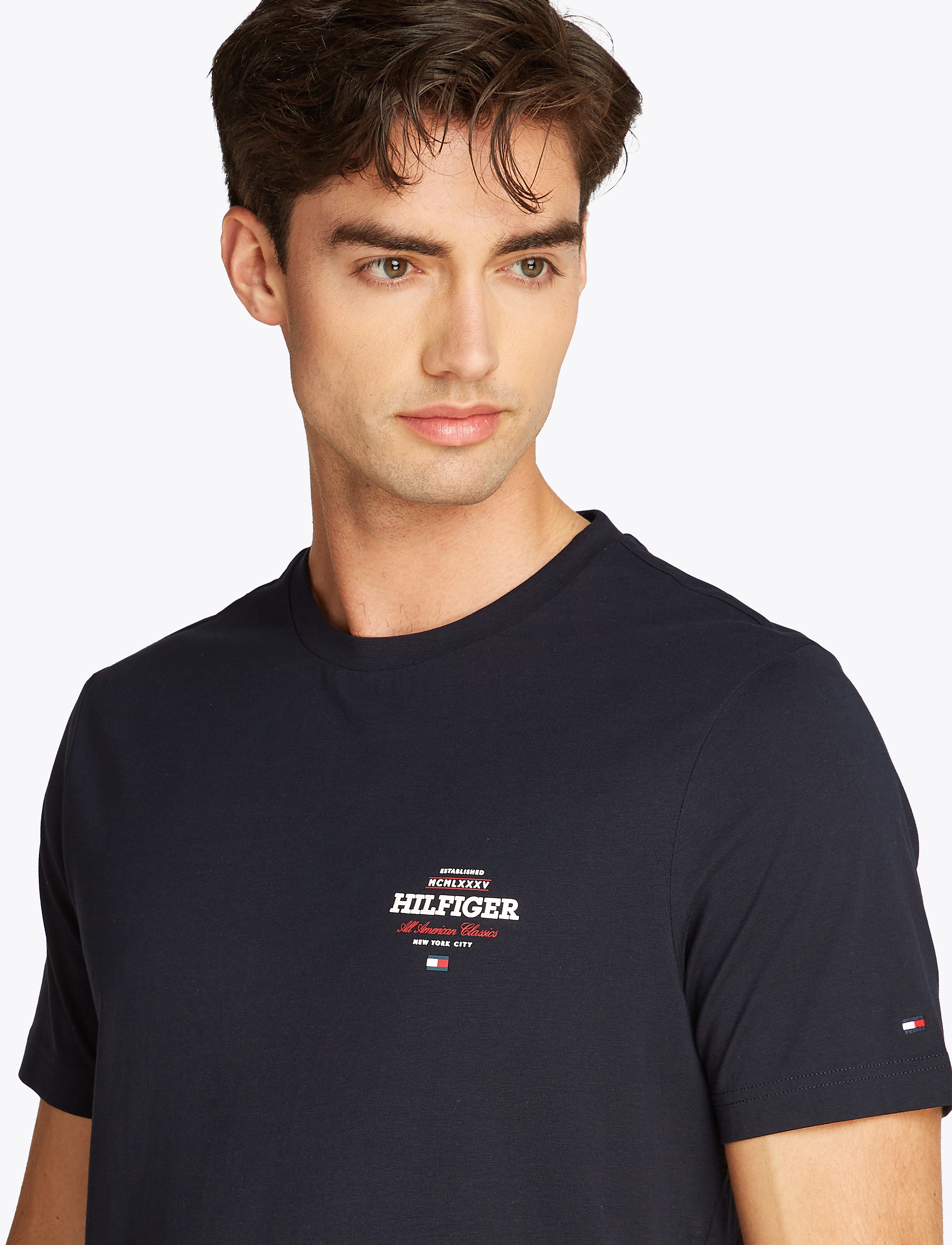 Tommy Hilfiger - MONOTYPE ALL AMERICAN TEE - short-sleeved t-shirts - desert sky - 3