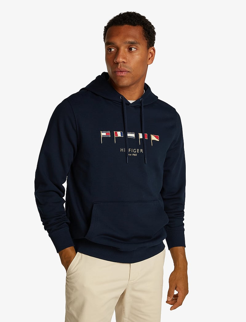Tommy Hilfiger - HILFIGER MULTI FLAGS HOODY - hupparit - desert sky 654 920 - 0