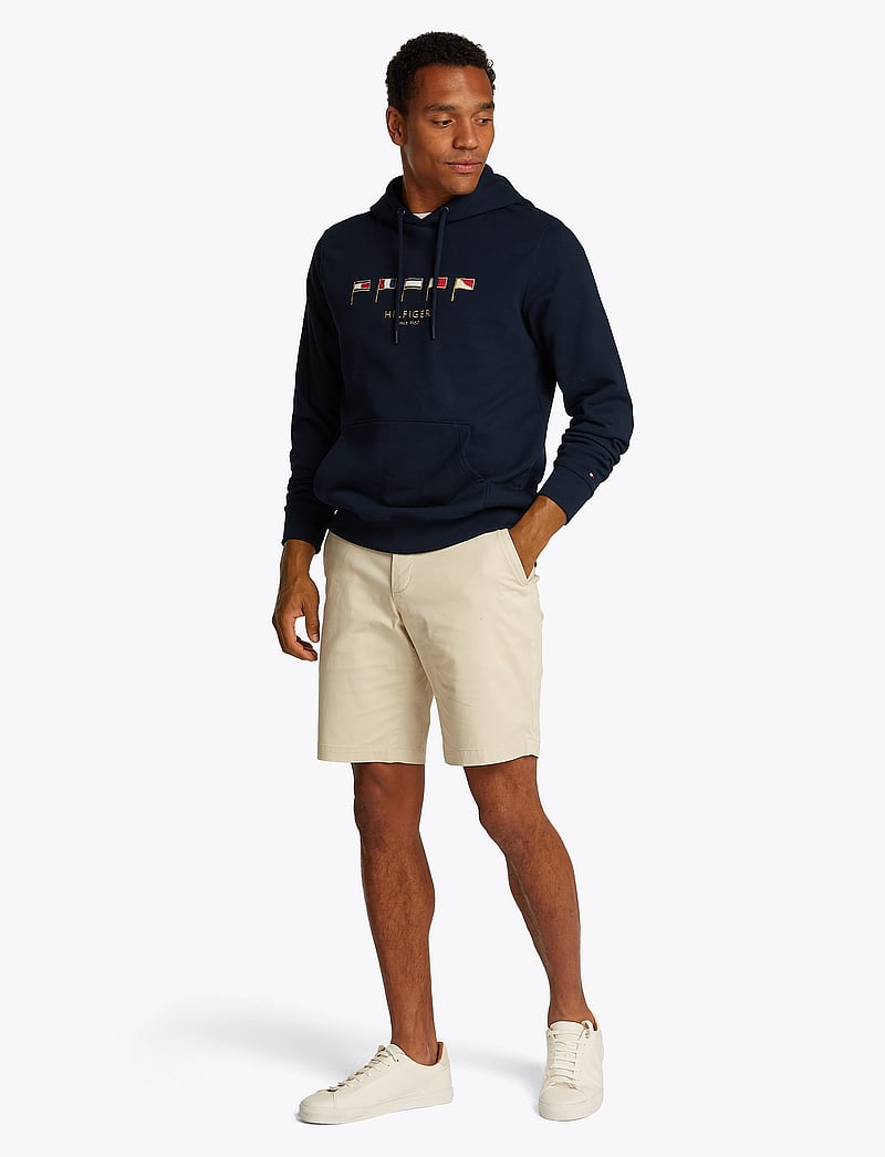 Tommy Hilfiger - HILFIGER MULTI FLAGS HOODY - hupparit - desert sky 654 920 - 4