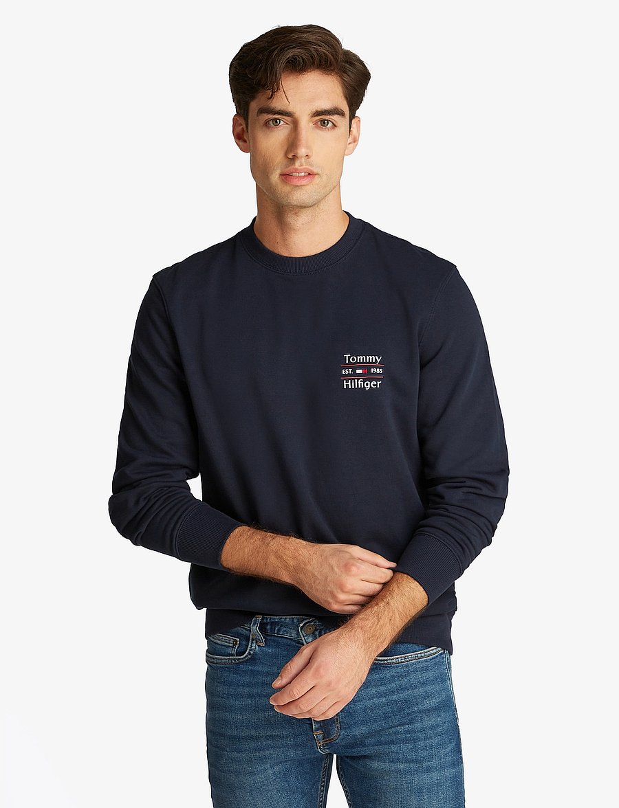 Tommy Hilfiger - HILFIGER STACK SWEATSHIRT - sweatshirts - desert sky 654 920 - 0