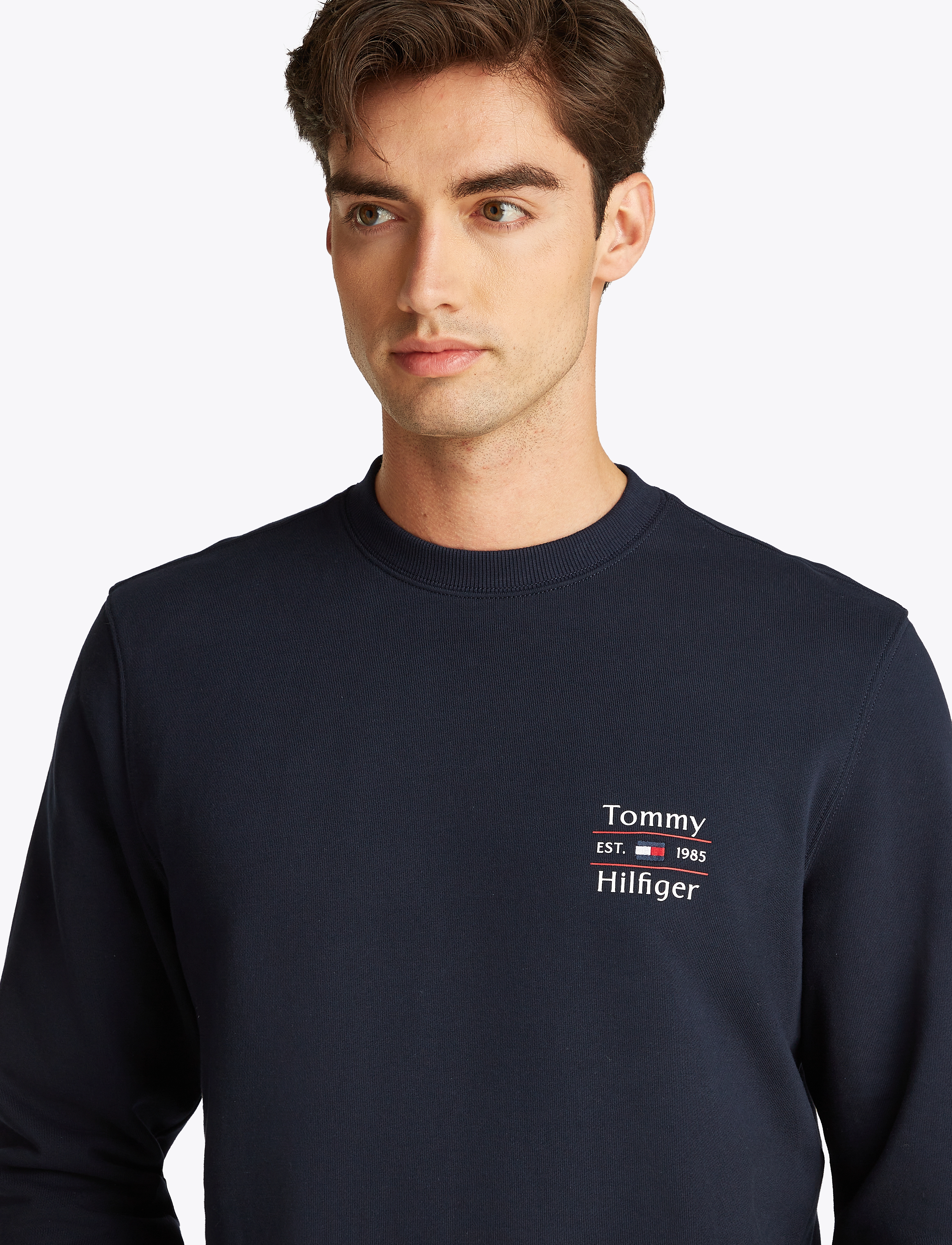 Tommy Hilfiger - HILFIGER STACK SWEATSHIRT - sweatshirts - desert sky 654 920 - 4
