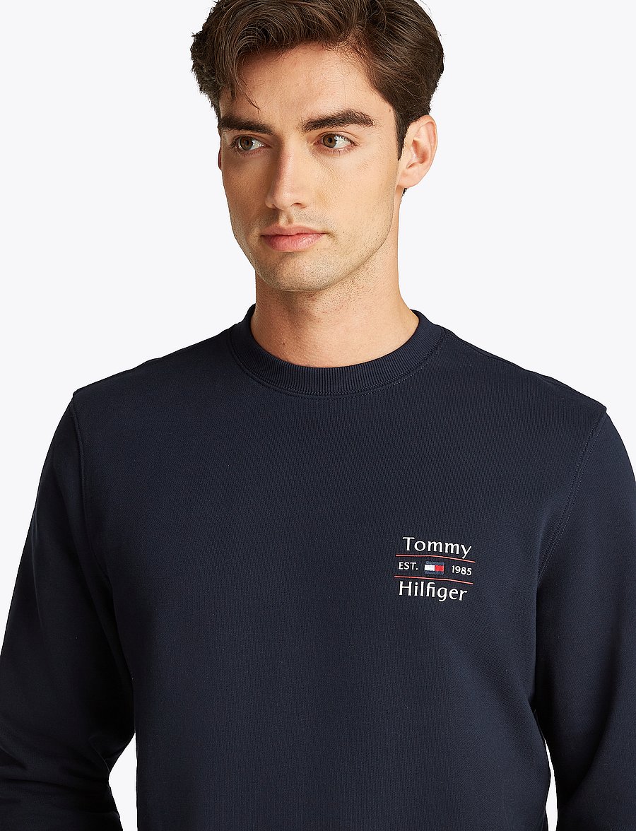 Tommy Hilfiger - HILFIGER STACK SWEATSHIRT - sweatshirts - desert sky 654 920 - 4