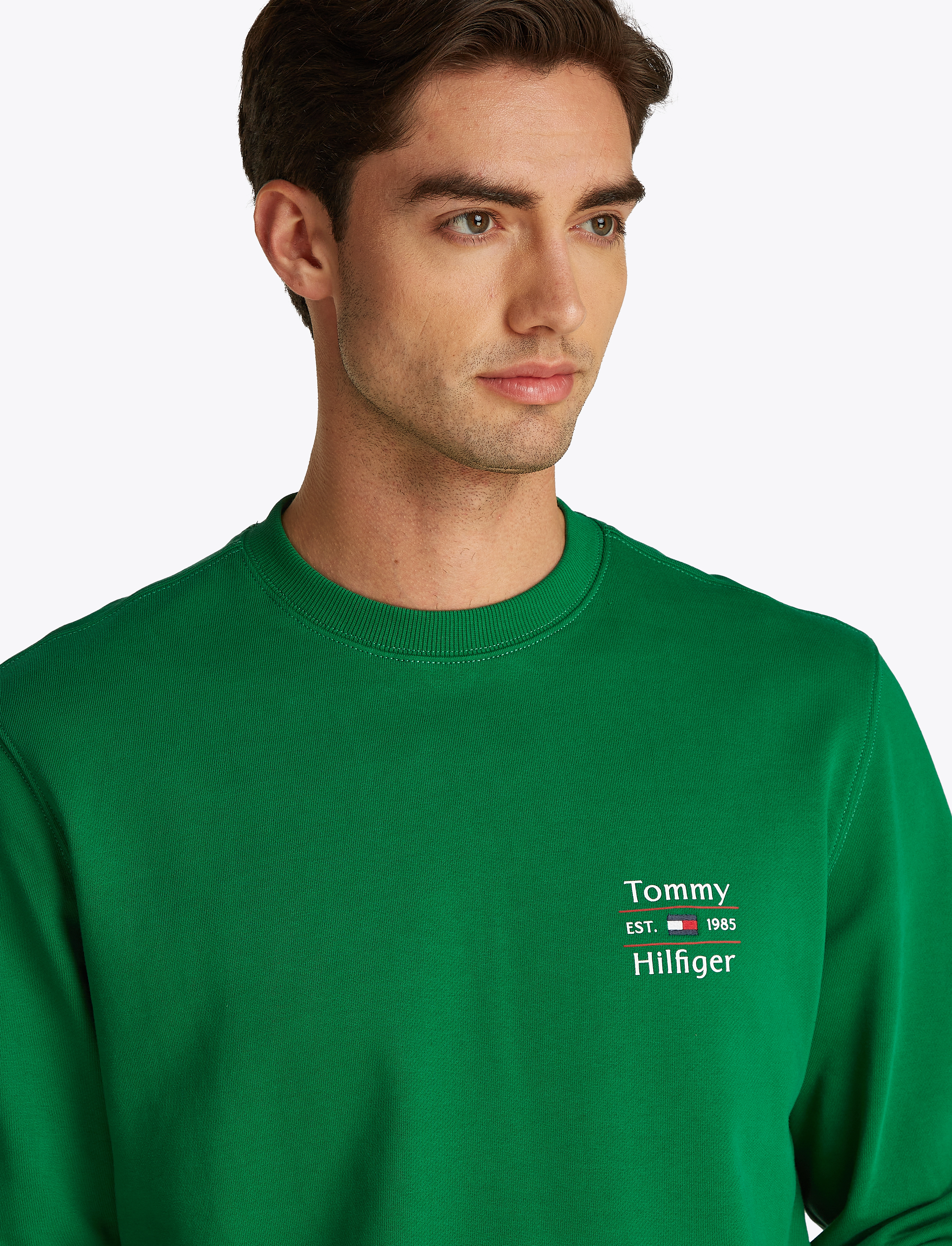 Tommy Hilfiger - HILFIGER STACK SWEATSHIRT - sweatshirts - nouveau green 323 830 - 3