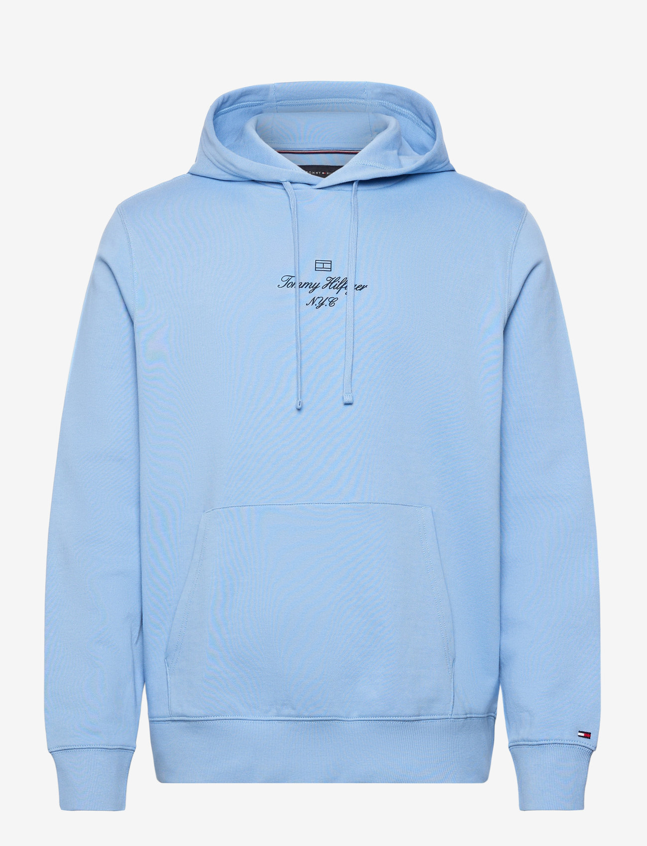 Tommy Hilfiger - OUTLINE FLAG SCRIPT HOODIE - sweatshirts - cloudy blue - 0