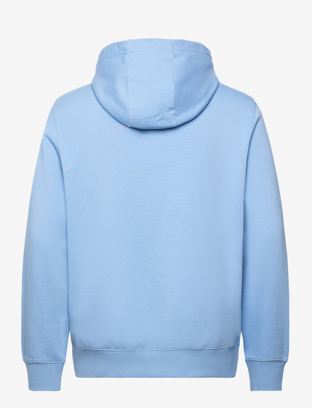 Tommy Hilfiger - OUTLINE FLAG SCRIPT HOODIE - sweatshirts - cloudy blue - 1