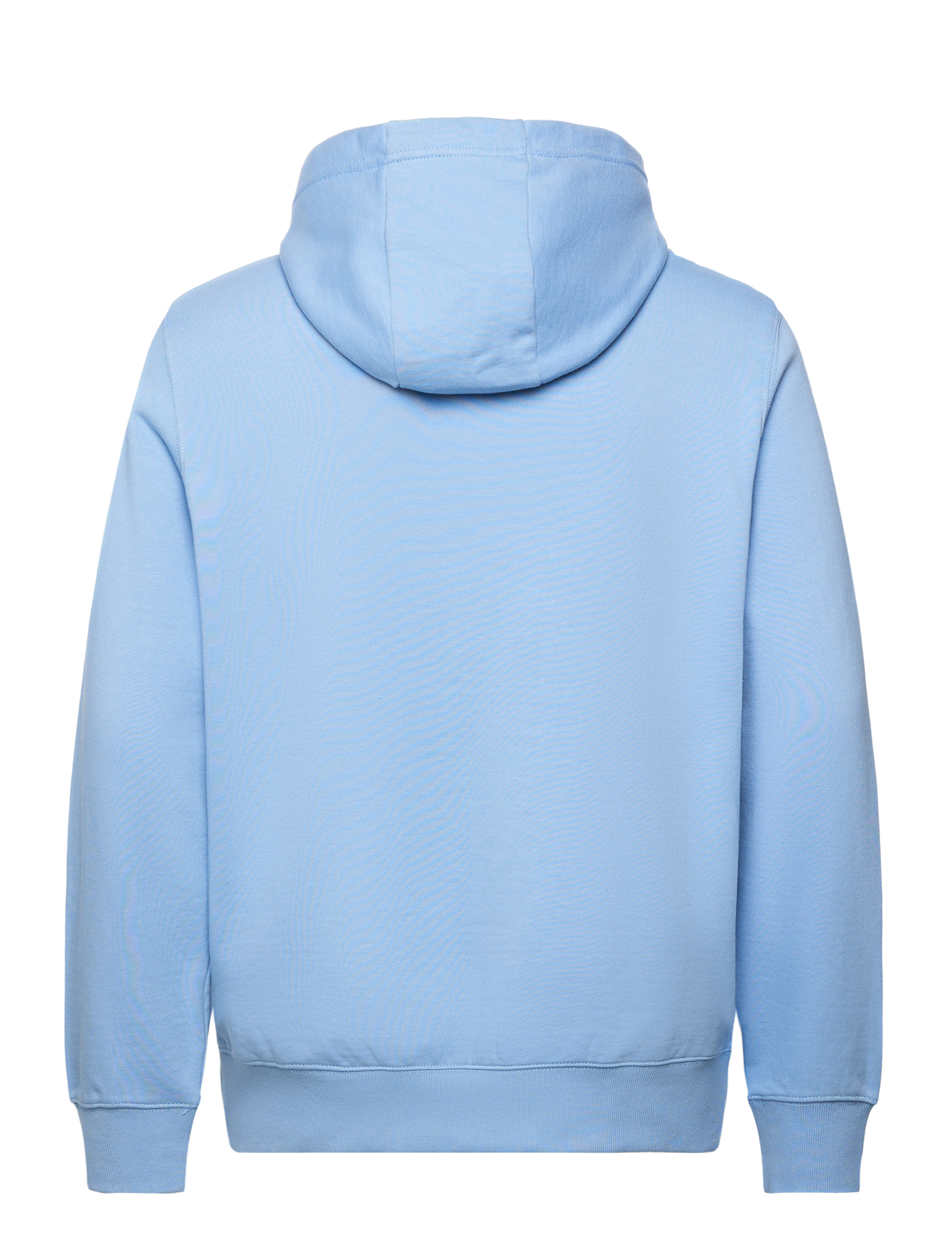 Tommy Hilfiger - OUTLINE FLAG SCRIPT HOODIE - cloudy blue - 2