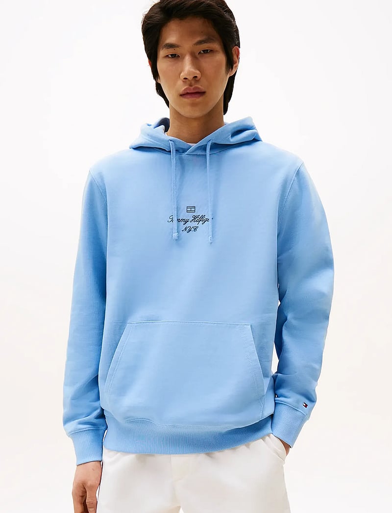 Tommy Hilfiger Outline Flag Script Hoodie (TOHMW0MW39372