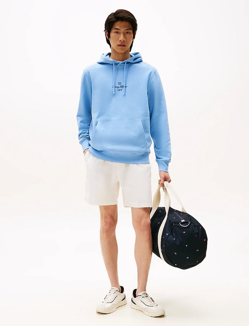 Tommy Hilfiger Outline Flag Script Hoodie (TOHMW0MW39372