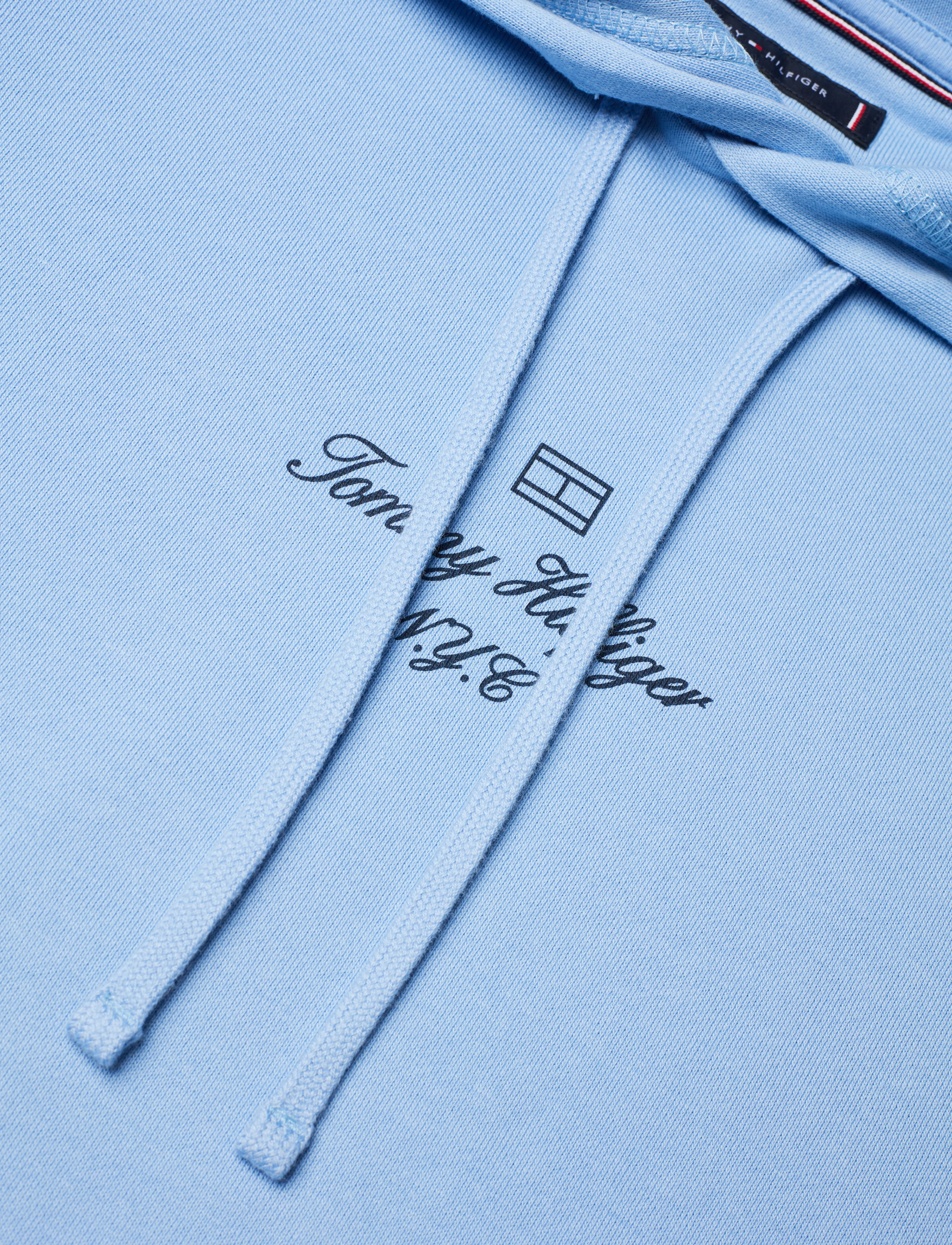 Tommy Hilfiger - OUTLINE FLAG SCRIPT HOODIE - cloudy blue - 5