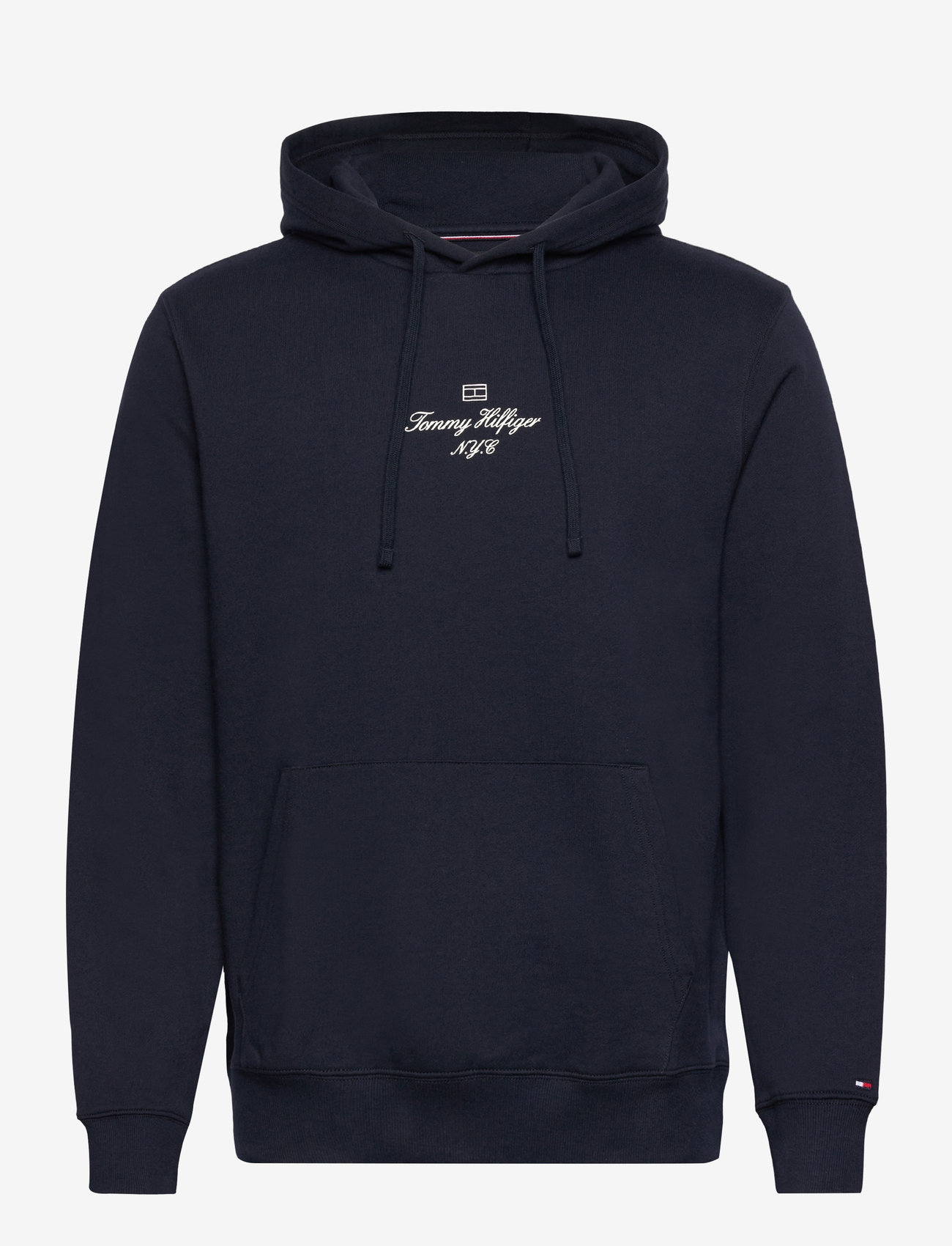 Tommy Hilfiger - OUTLINE FLAG SCRIPT HOODIE - hoodies - desert sky - 1