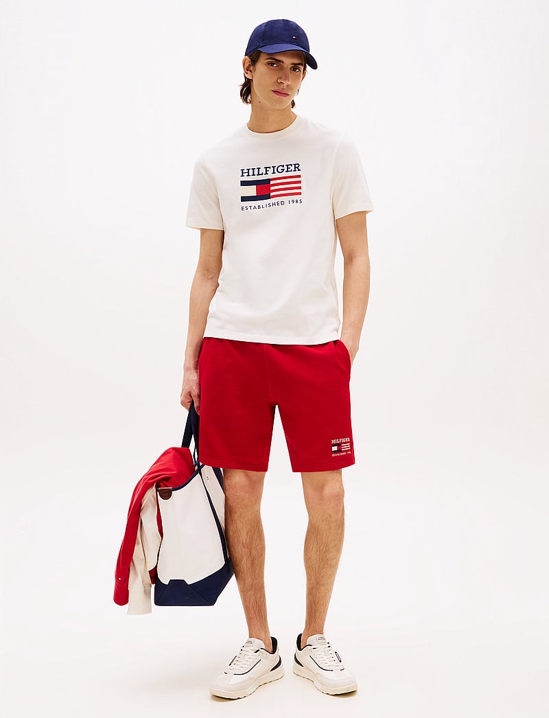 Tommy Hilfiger - AMERICANA MONOTYPE FLAG BOX TEE - kortärmade t-shirts - ivory petal - 2