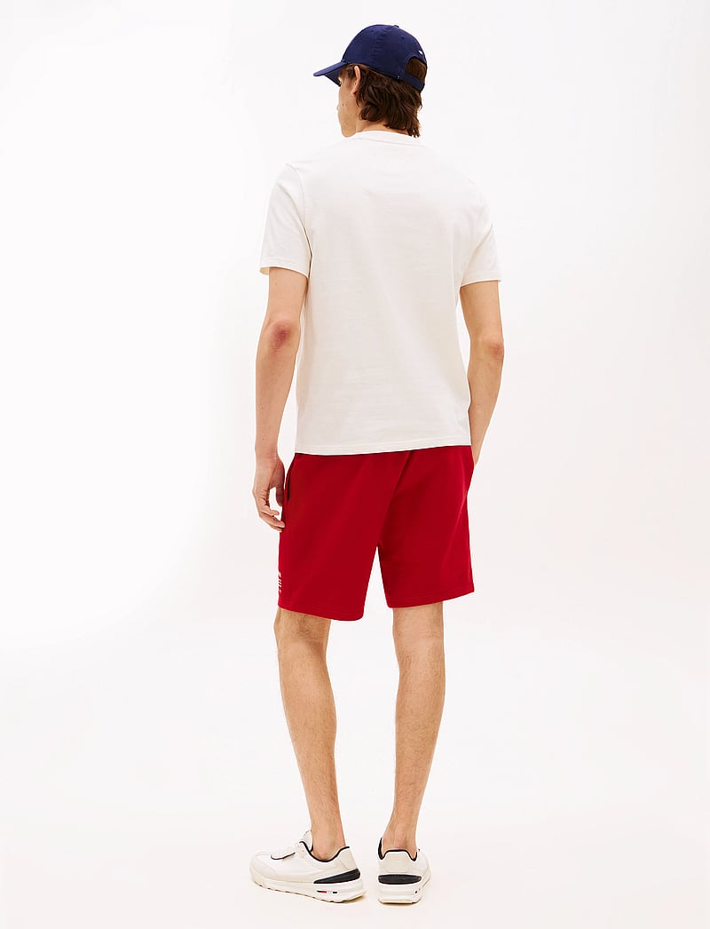 Tommy Hilfiger - AMERICANA MONOTYPE FLAG BOX TEE - kortärmade t-shirts - ivory petal - 3