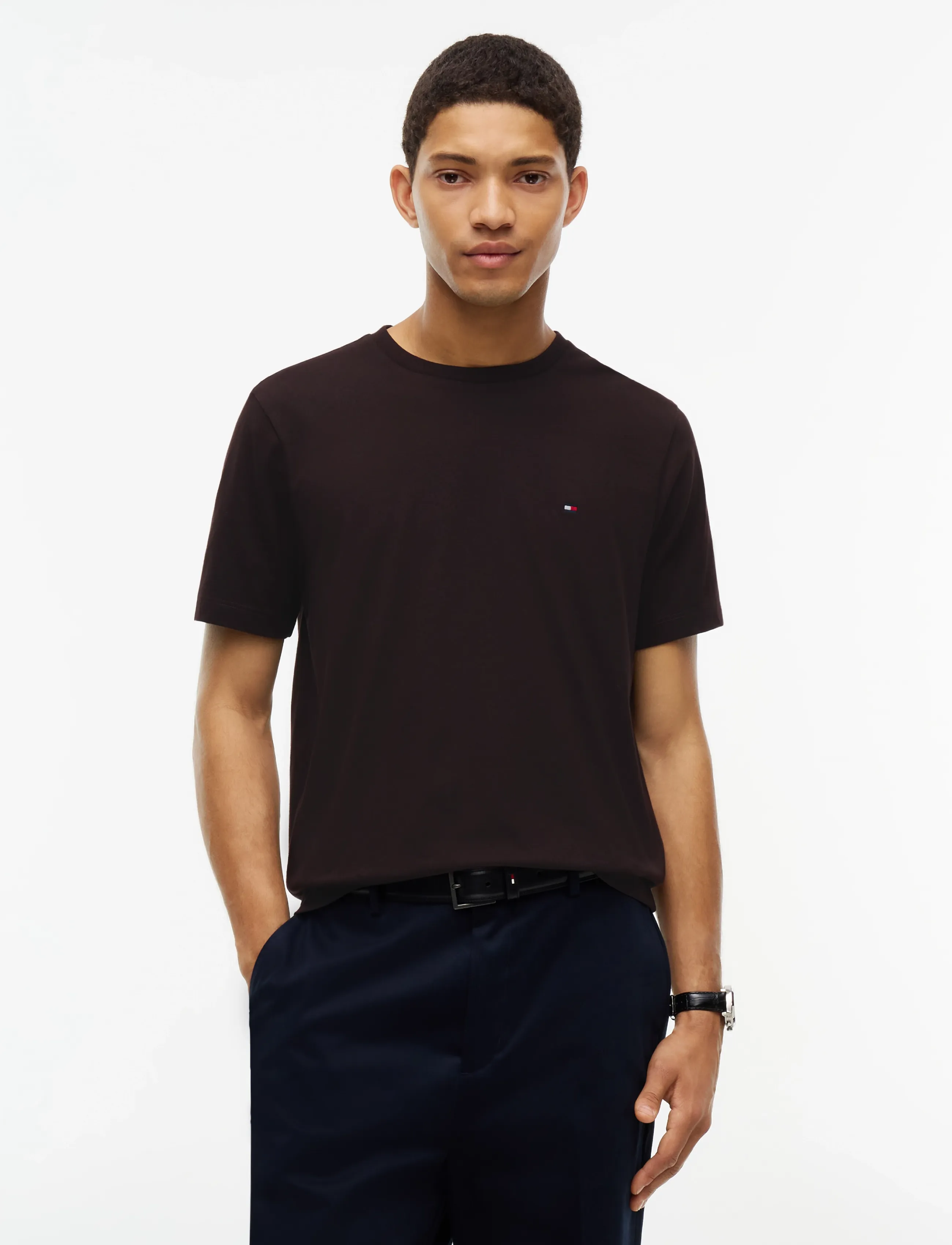 Tommy Hilfiger ESS SEASONAL REG FIT SOLID TEE - Kleidung - CHOCOLATE / brown