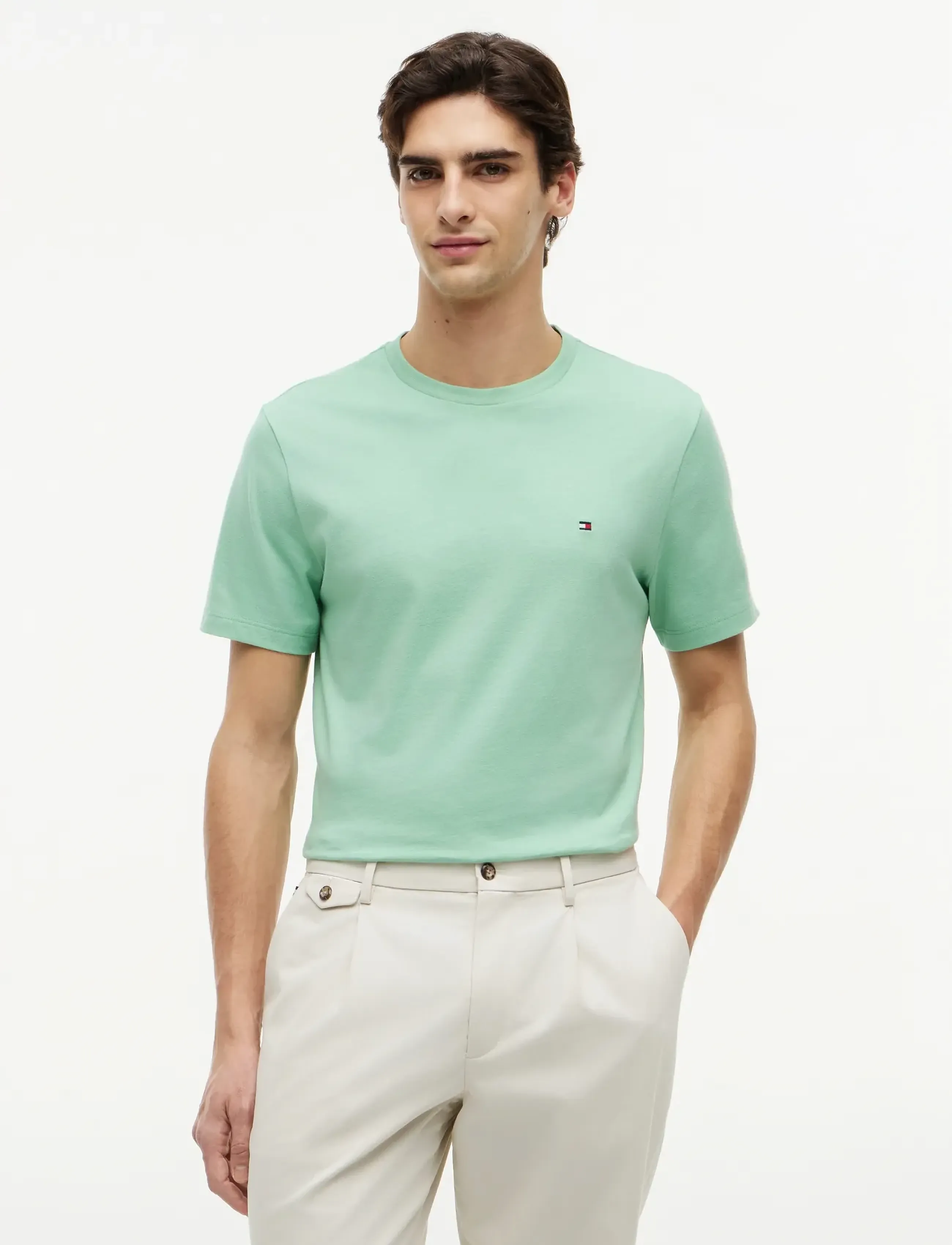 Tommy Hilfiger ESS SEASONAL REG FIT SOLID TEE - T-Shirts - CUT GRASS / green