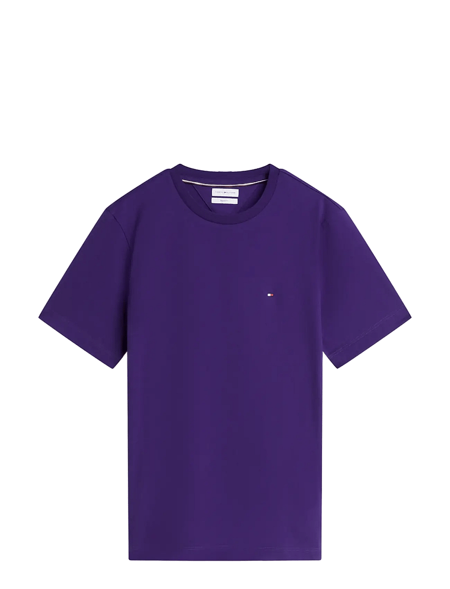 Tommy Hilfiger - ESS SEASONAL REG FIT SOLID TEE - kurzärmelige t-shirts - tuscan grape - 1