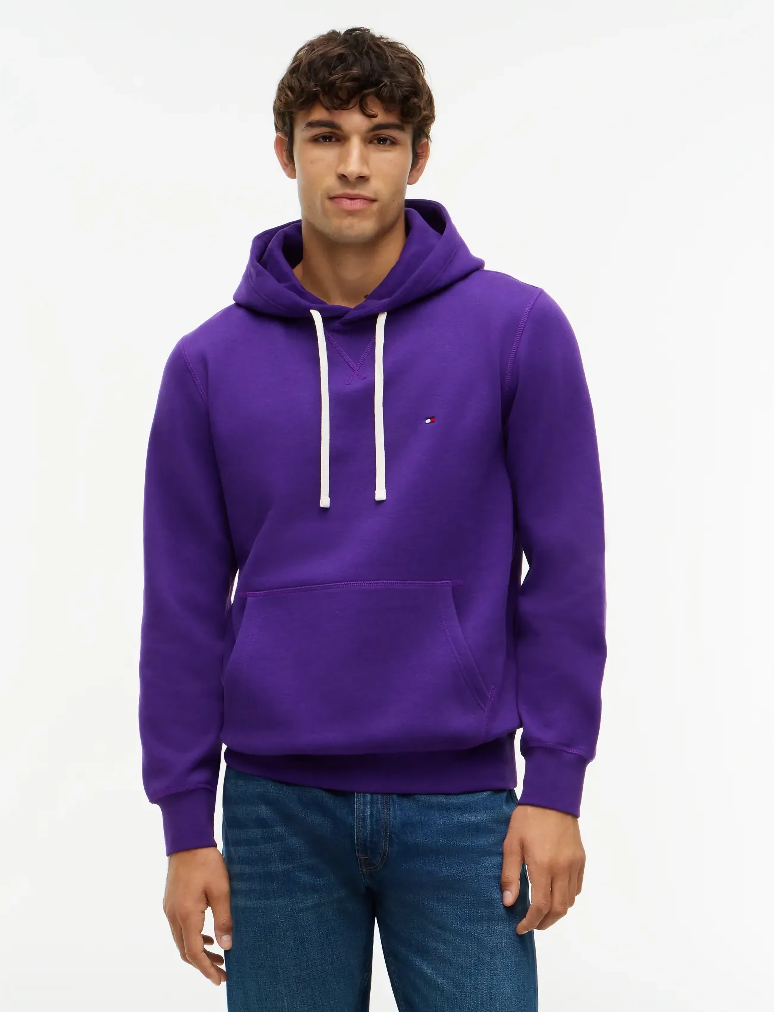 Tommy Hilfiger ESS SEASONAL FLEECE HOODY - Sweatshirts - TUSCAN GRAPE / purple