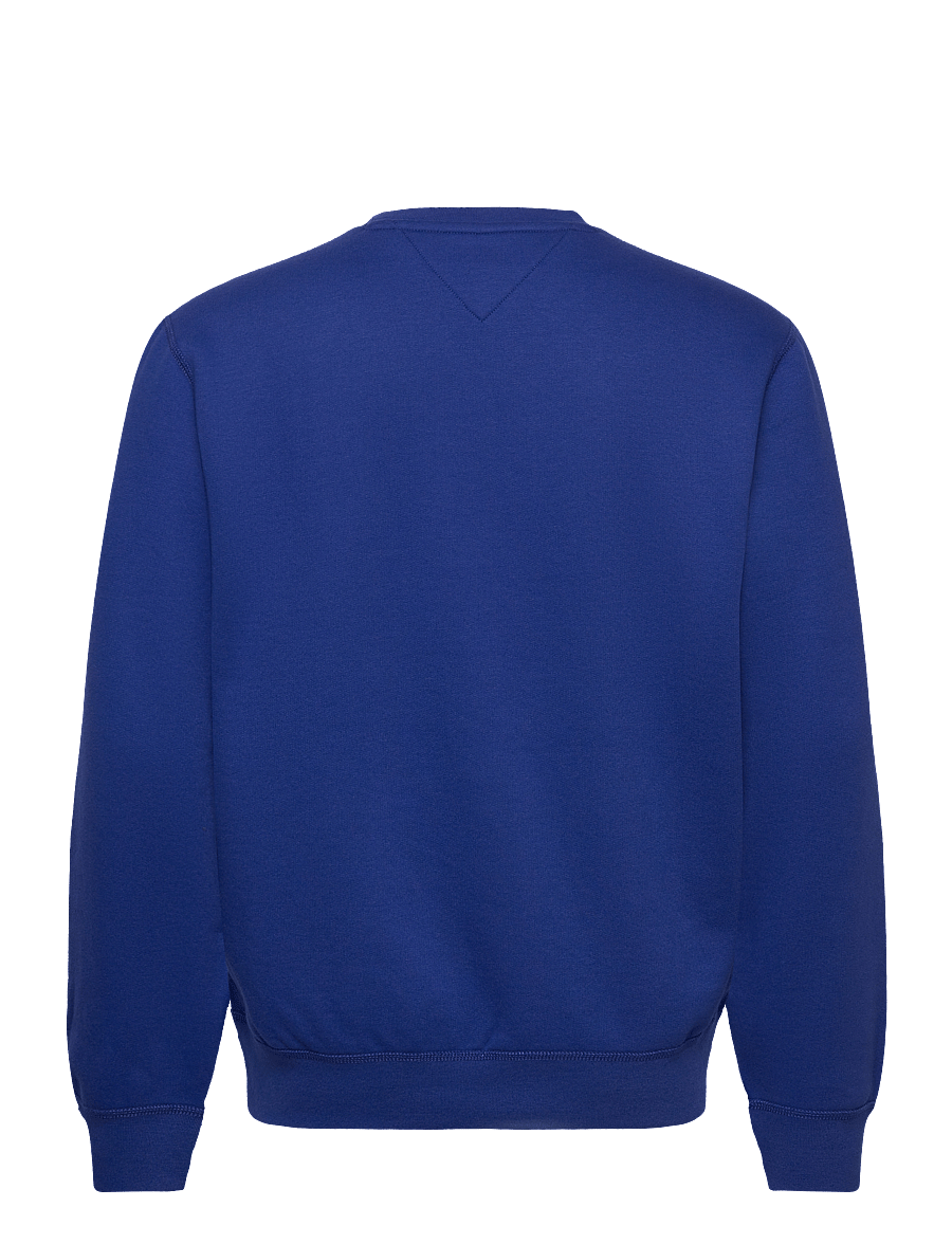 Tommy Hilfiger - ESS SEASONAL FLEECE CREWNECK - sweatshirts - wedge blue - 2