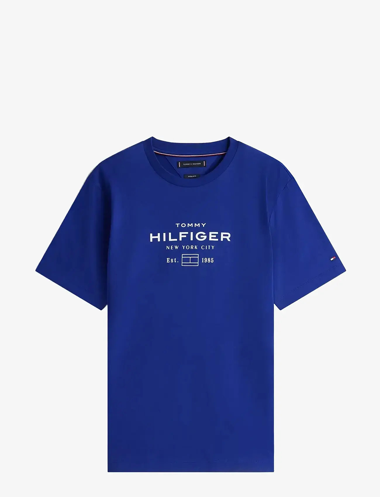 Tommy Hilfiger - HILFIGER STACK GRAPHIC TEE - kortärmade t-shirts - wedge blue - 1
