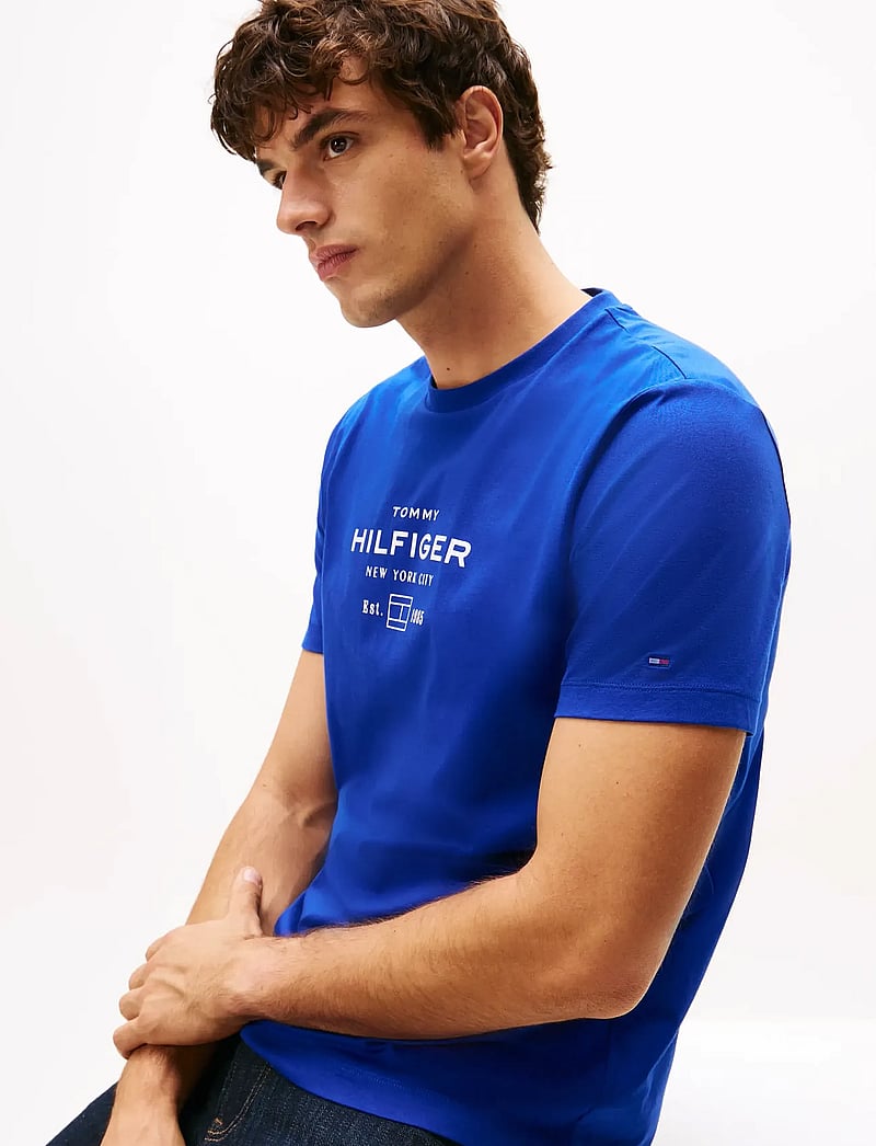 Tommy Hilfiger - HILFIGER STACK GRAPHIC TEE - kortärmade t-shirts - wedge blue - 4