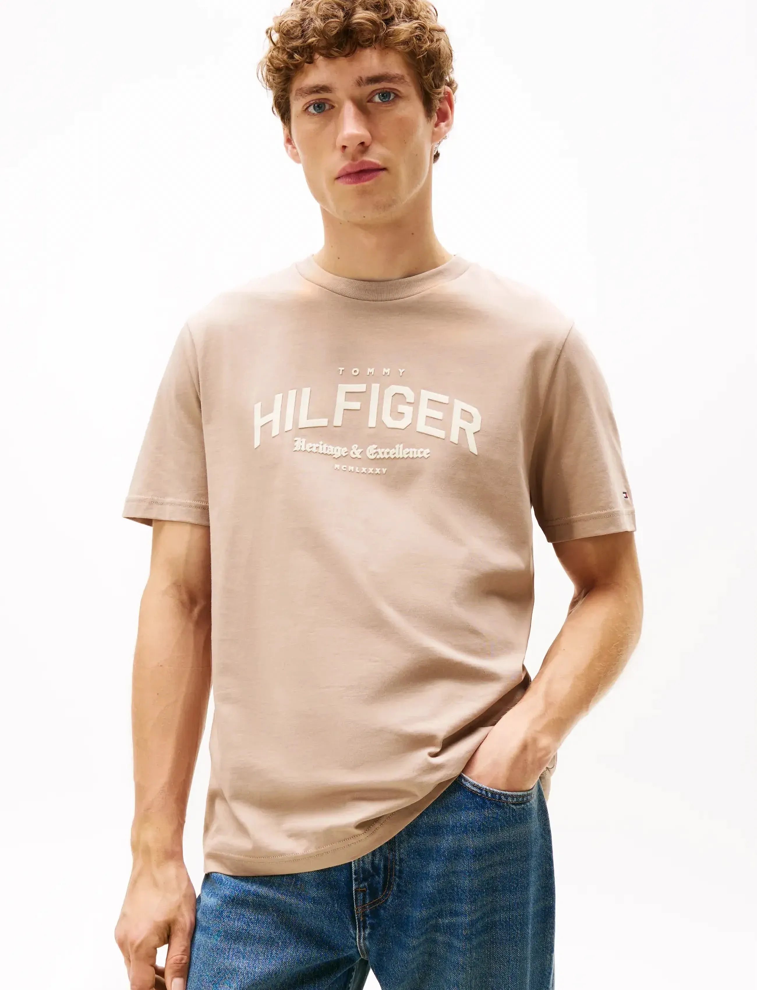 Tommy Hilfiger HILFIGER ARCH TEE - Tommy Hilfiger - COASTAL TAUPE / beige
