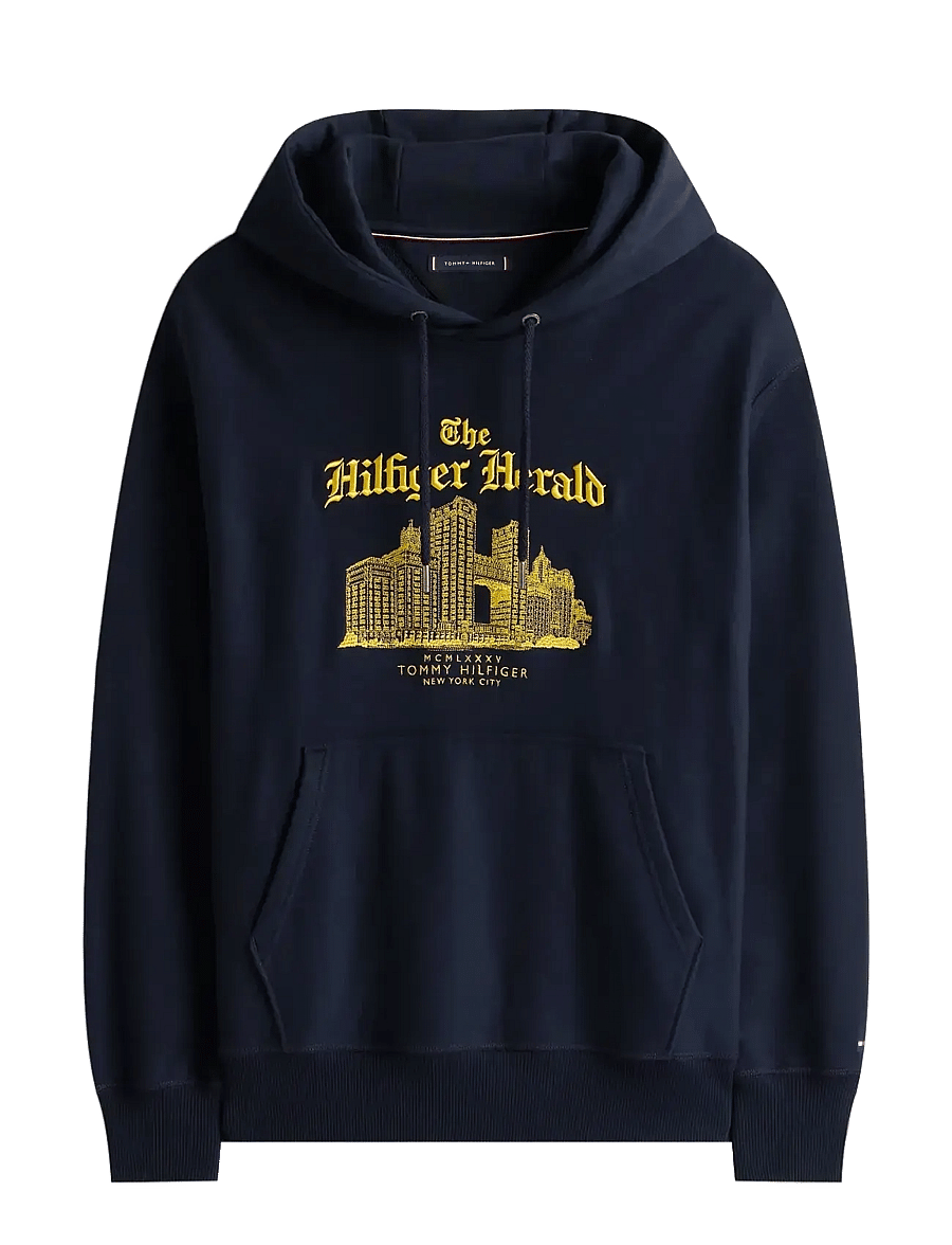 Tommy Hilfiger - HERALD SKYLINE HOODY - kapuzenpullover - desert sky - 1